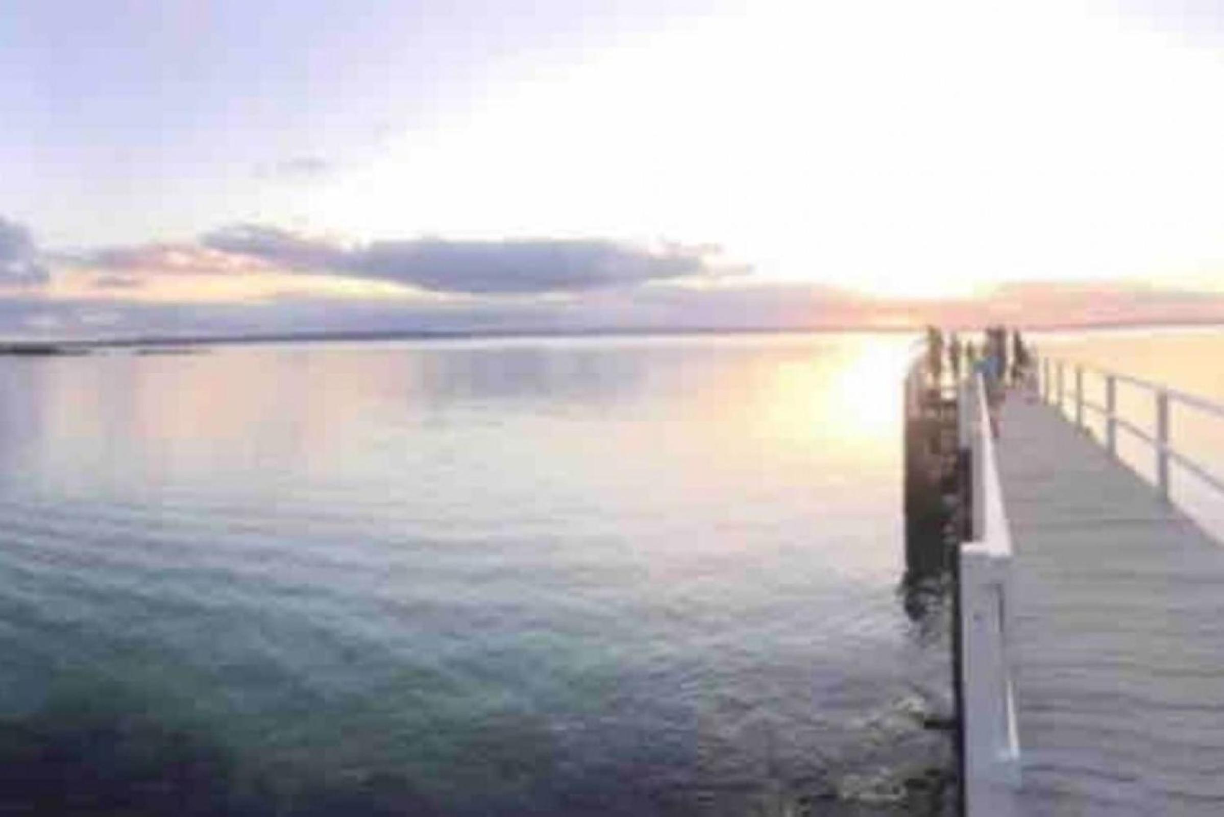 Callala Bay Beach House - Wowly Waters - Pet Friendly