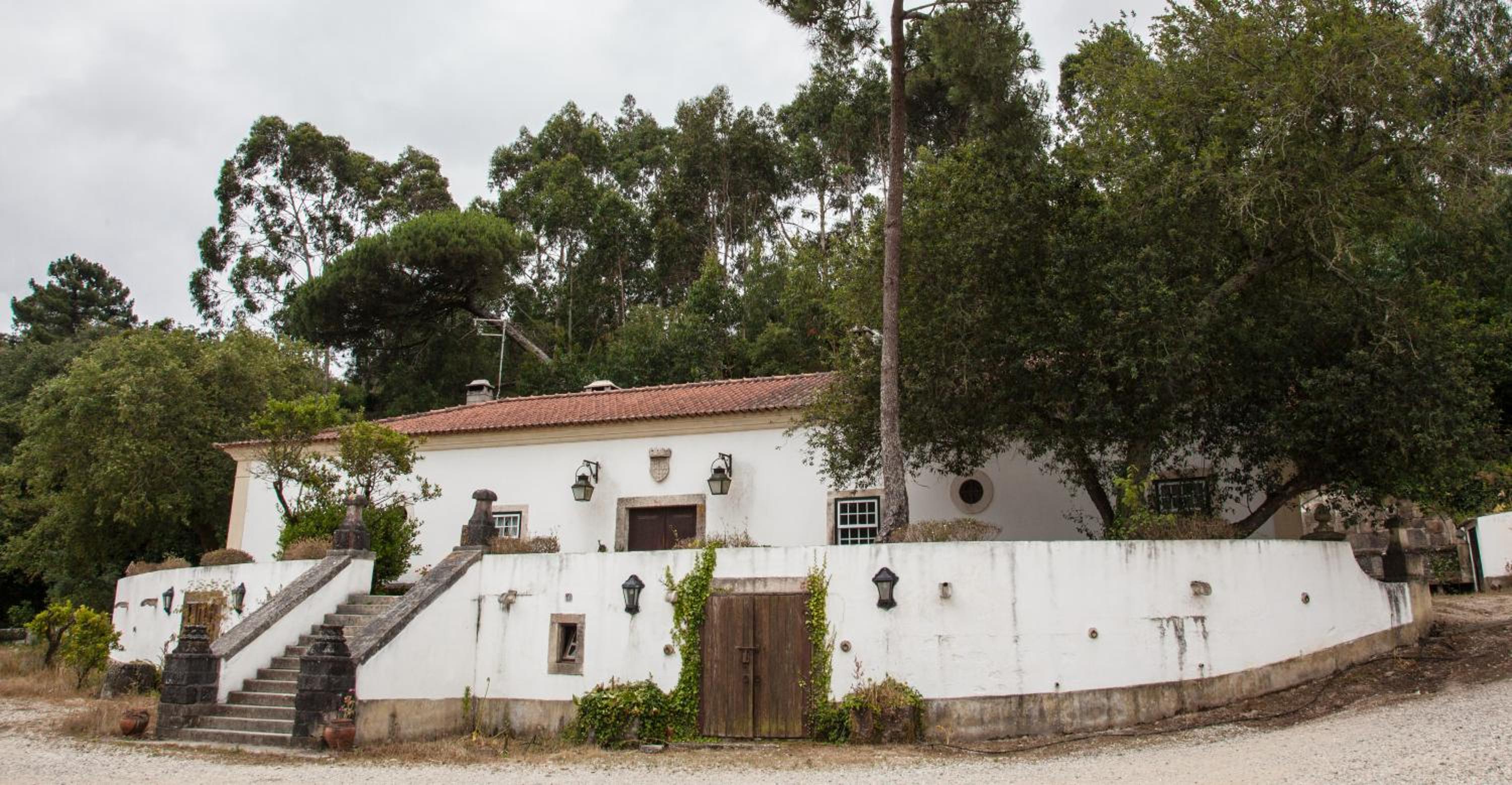 Quinta do Brejo - Turismo Equestre view 3