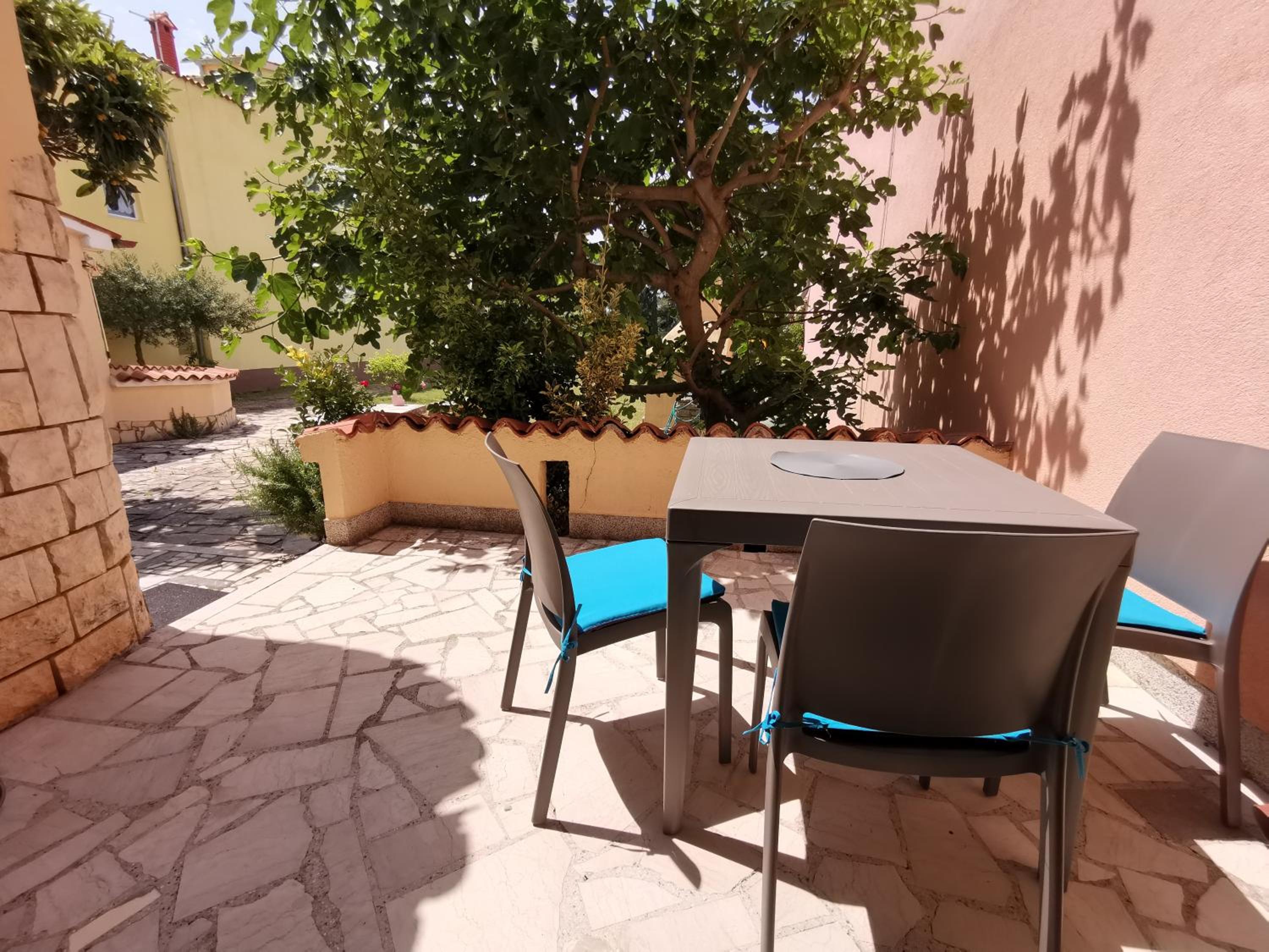 Apartmani Koin