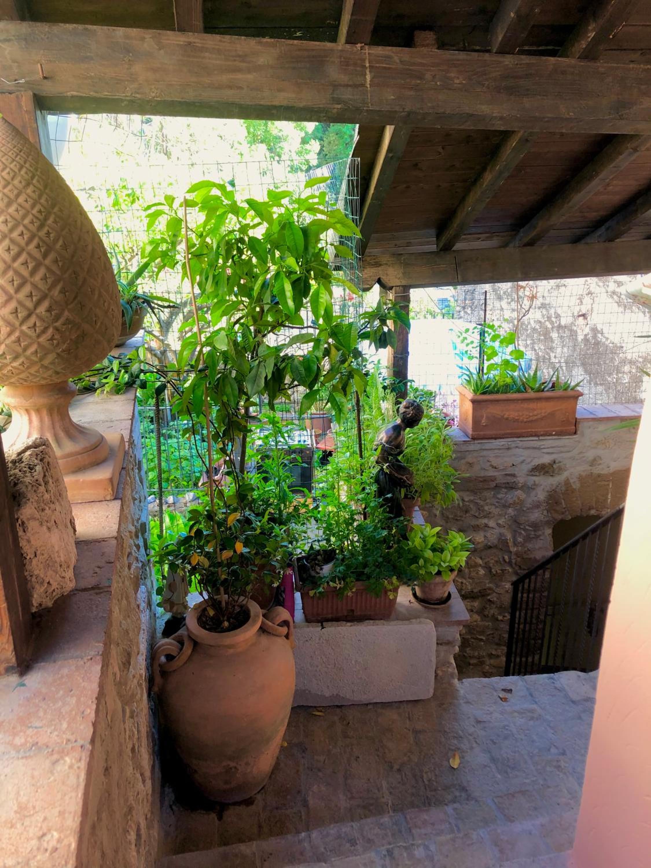 B&B La Fontana di Pegaso view 4