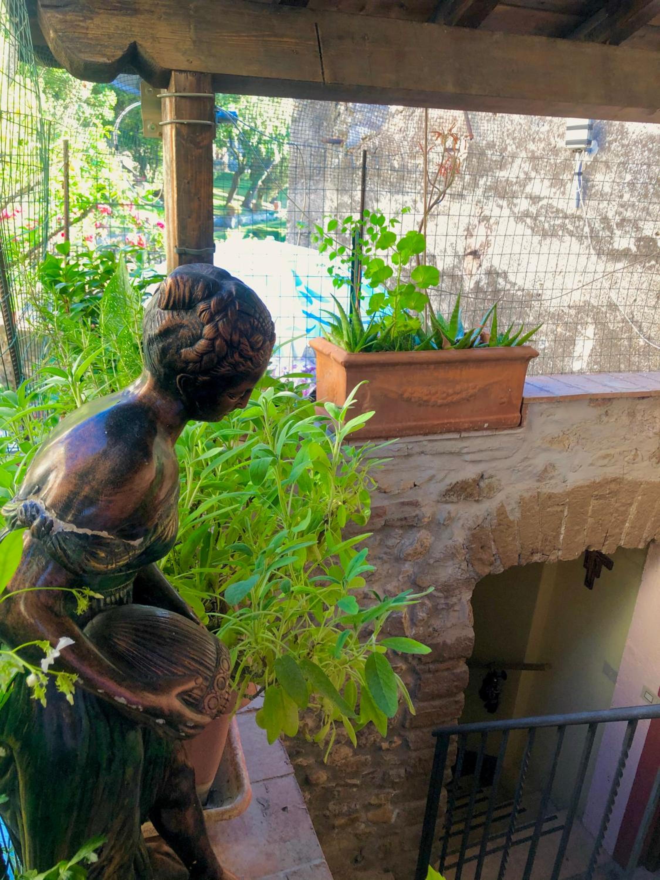 B&B La Fontana di Pegaso view 2