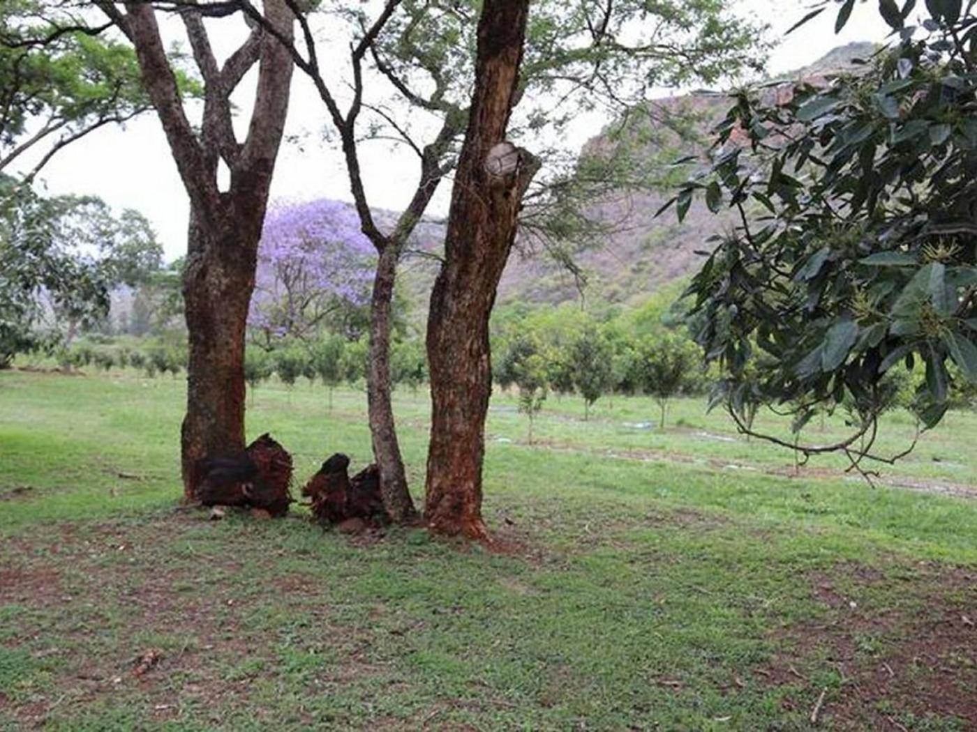 Goederus Guest Farm view 4