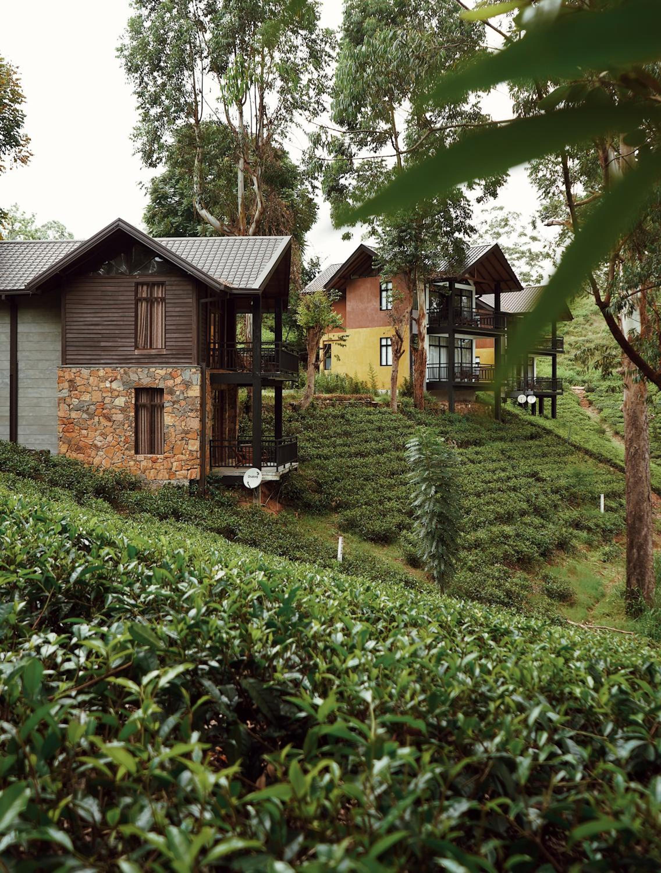 The Farm Resorts