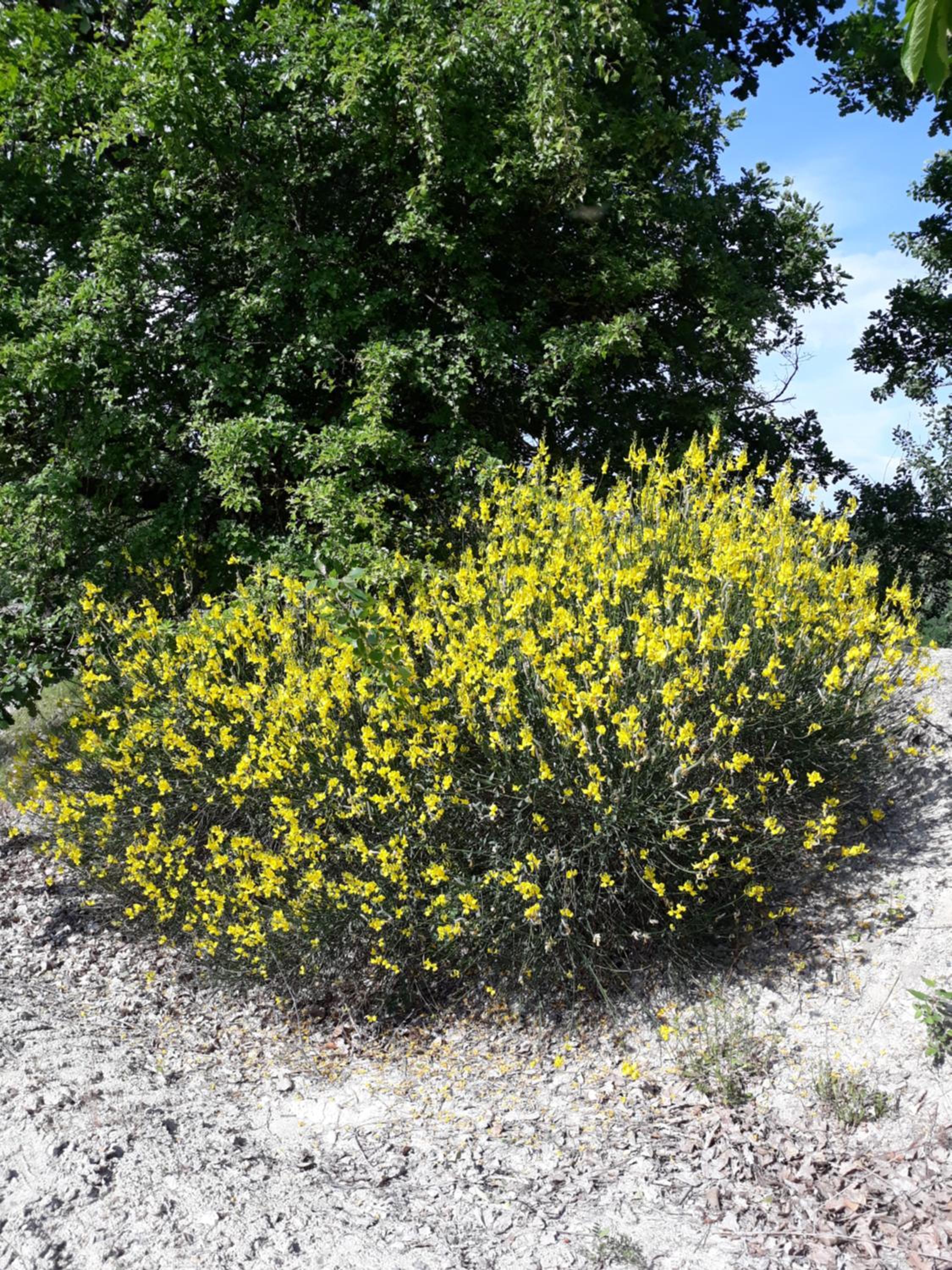 Photo 29
