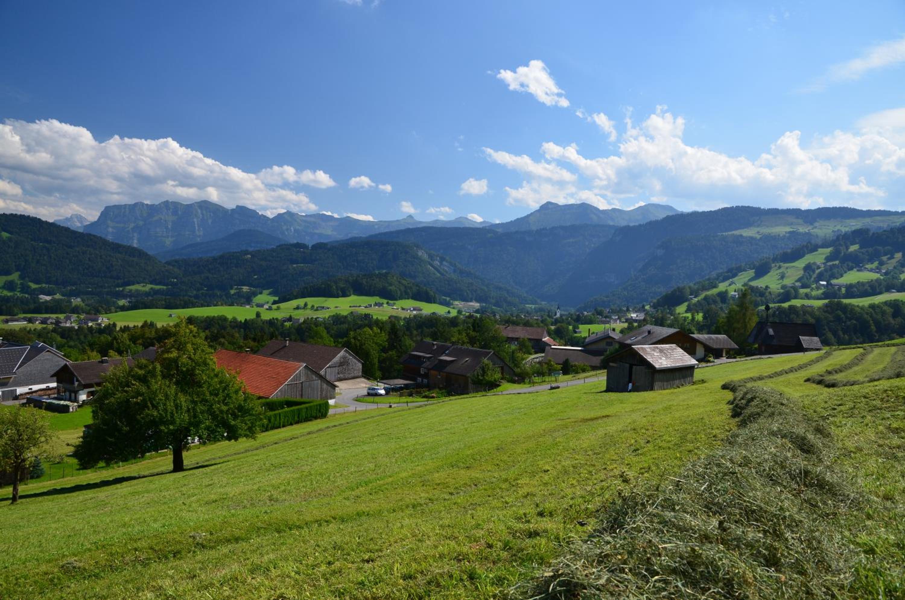 Bio Ferienbauernhof Greber - Natururlaub mit Ponys & Kaninchen