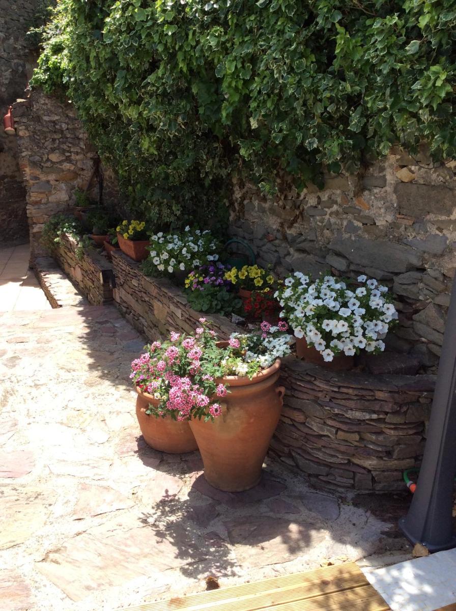 Photo 29