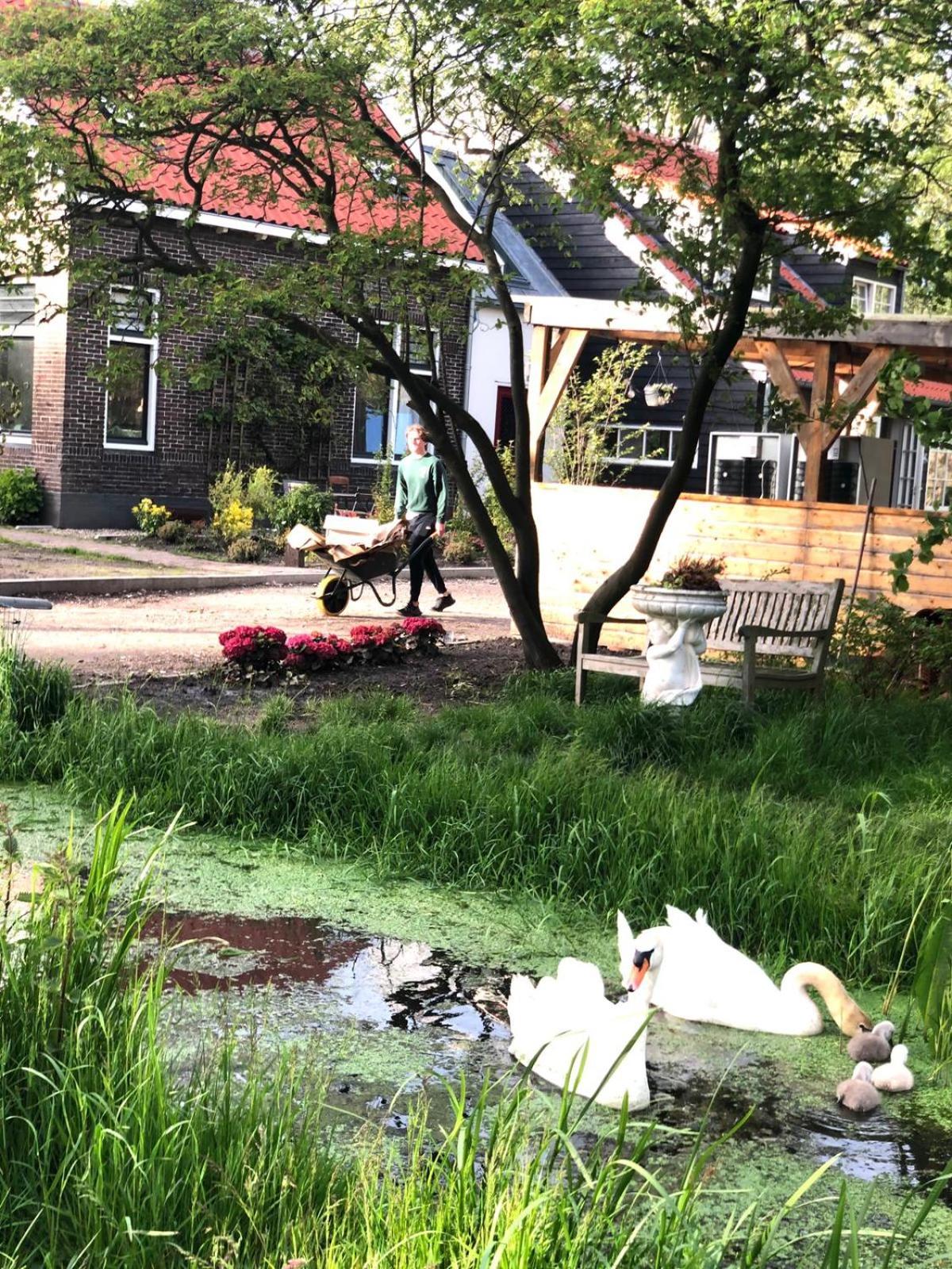 HOMESTEAD Amsterdam