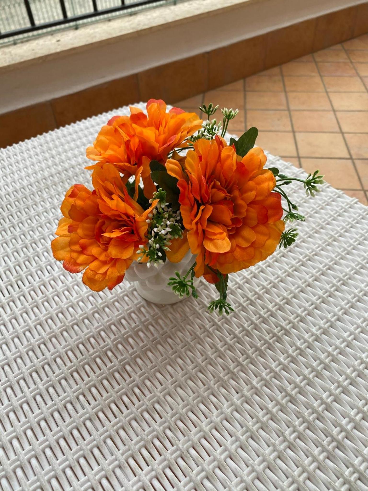 Casette Tulipano