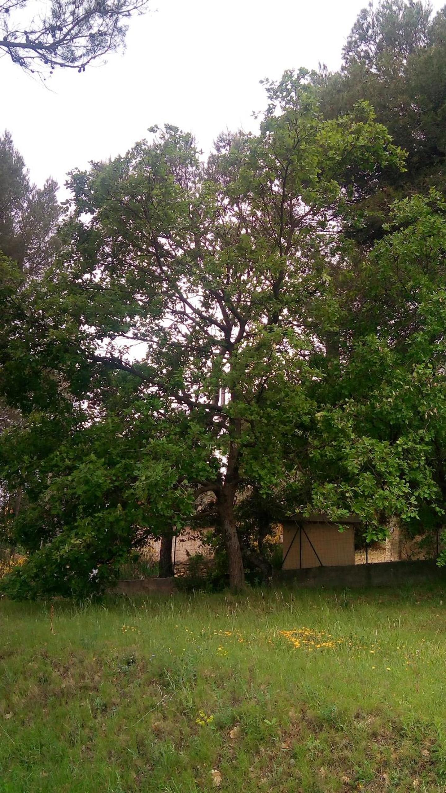 Photo 26