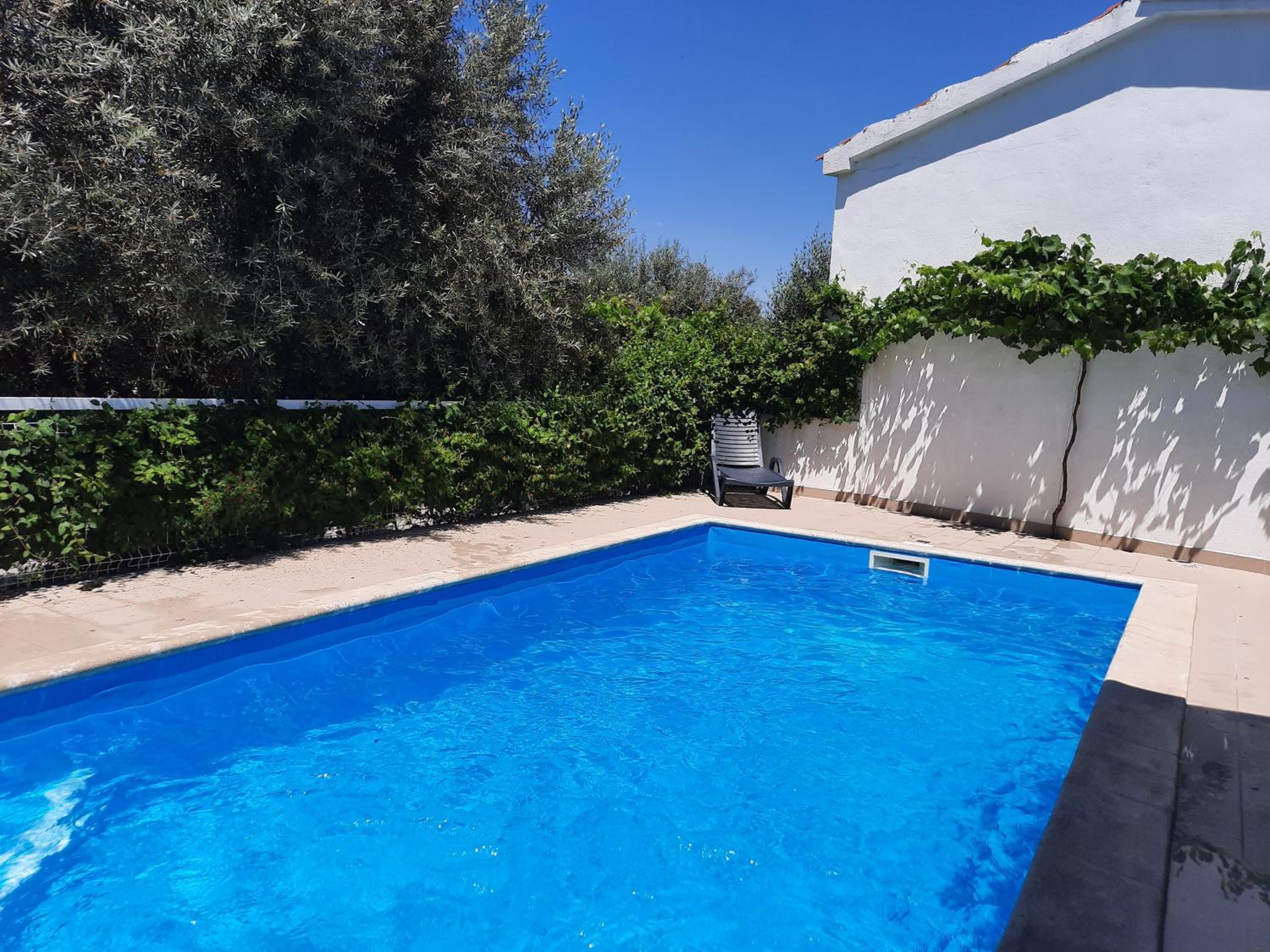 Casinha das Oliveiras view 4