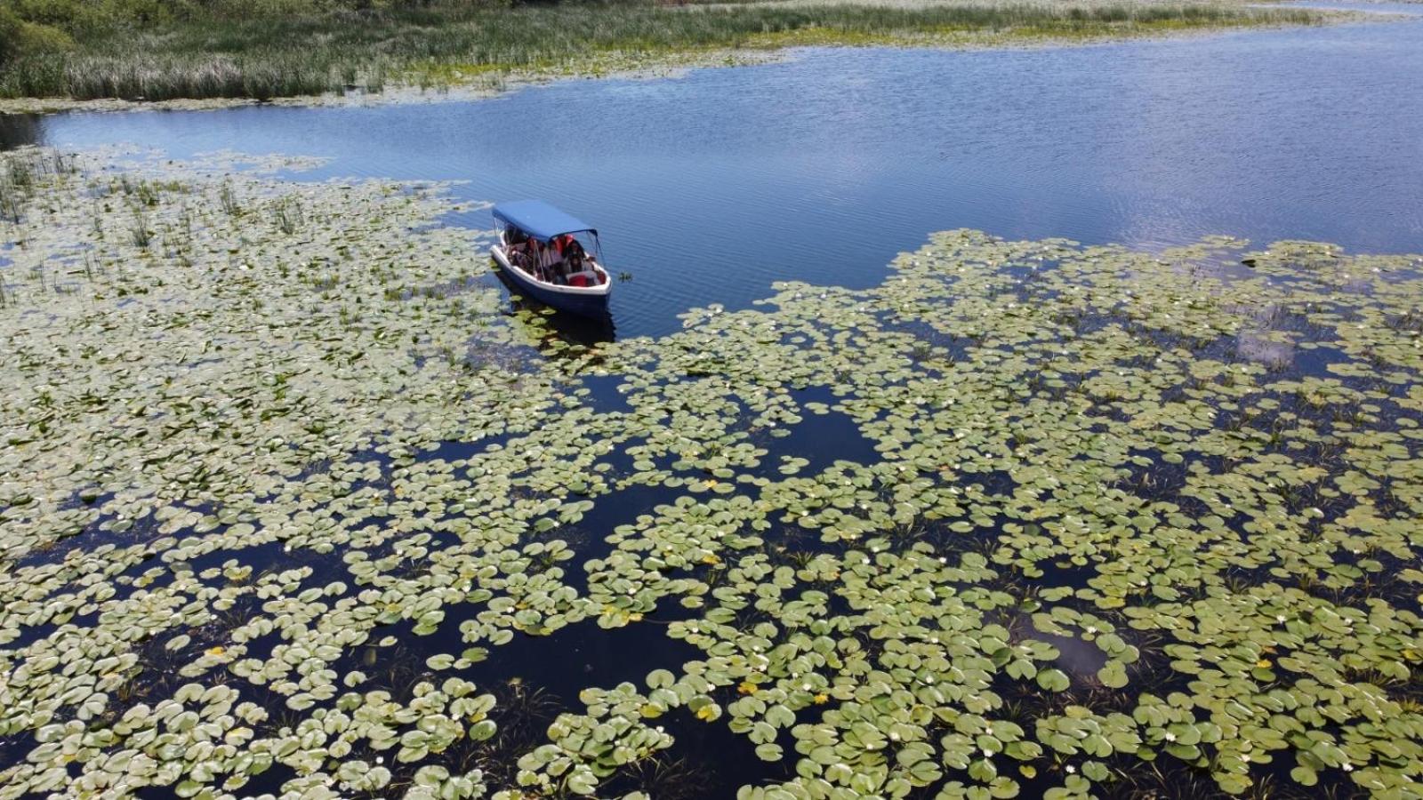 Orizont-Mahmudia