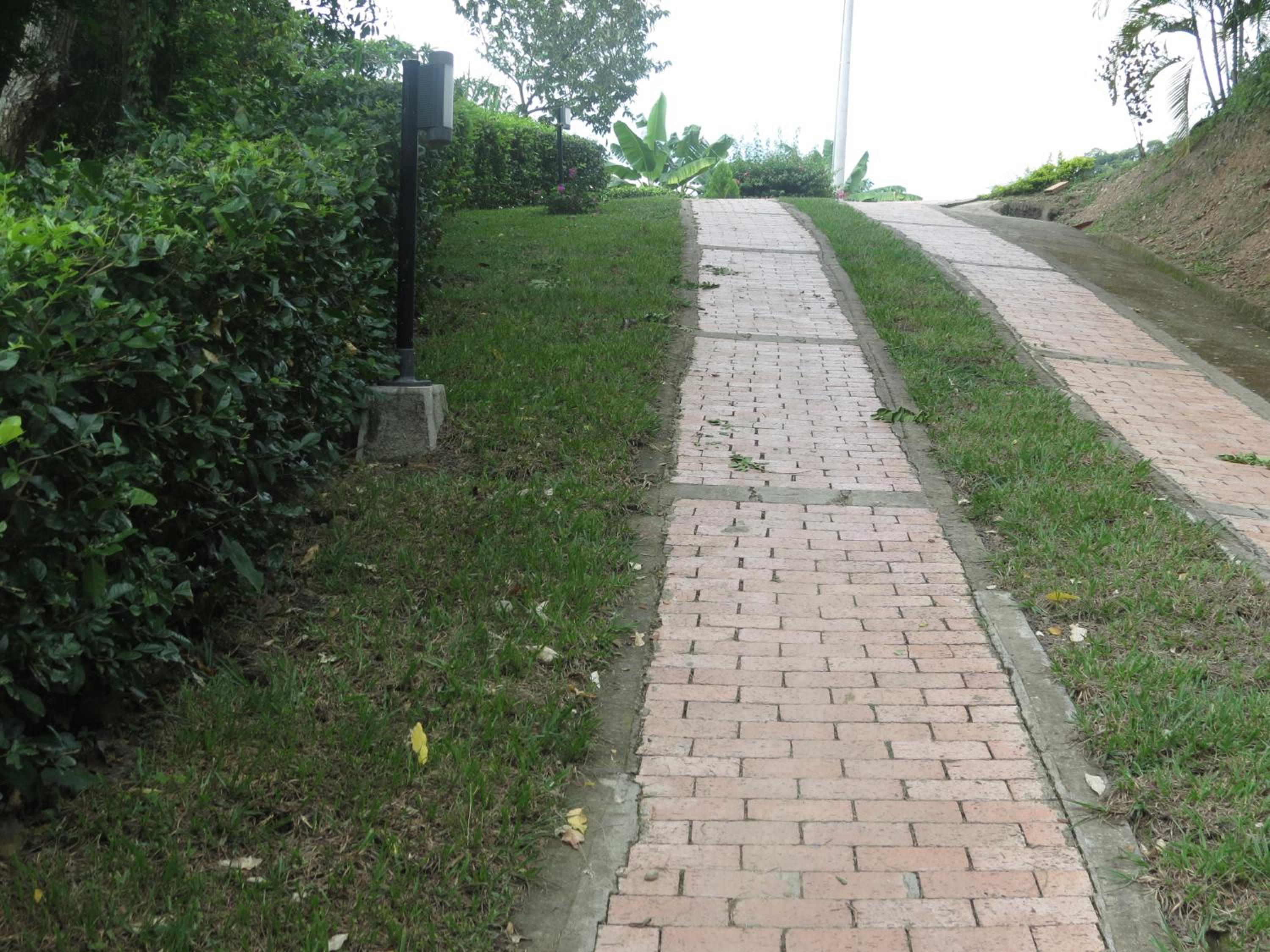 Photo 25