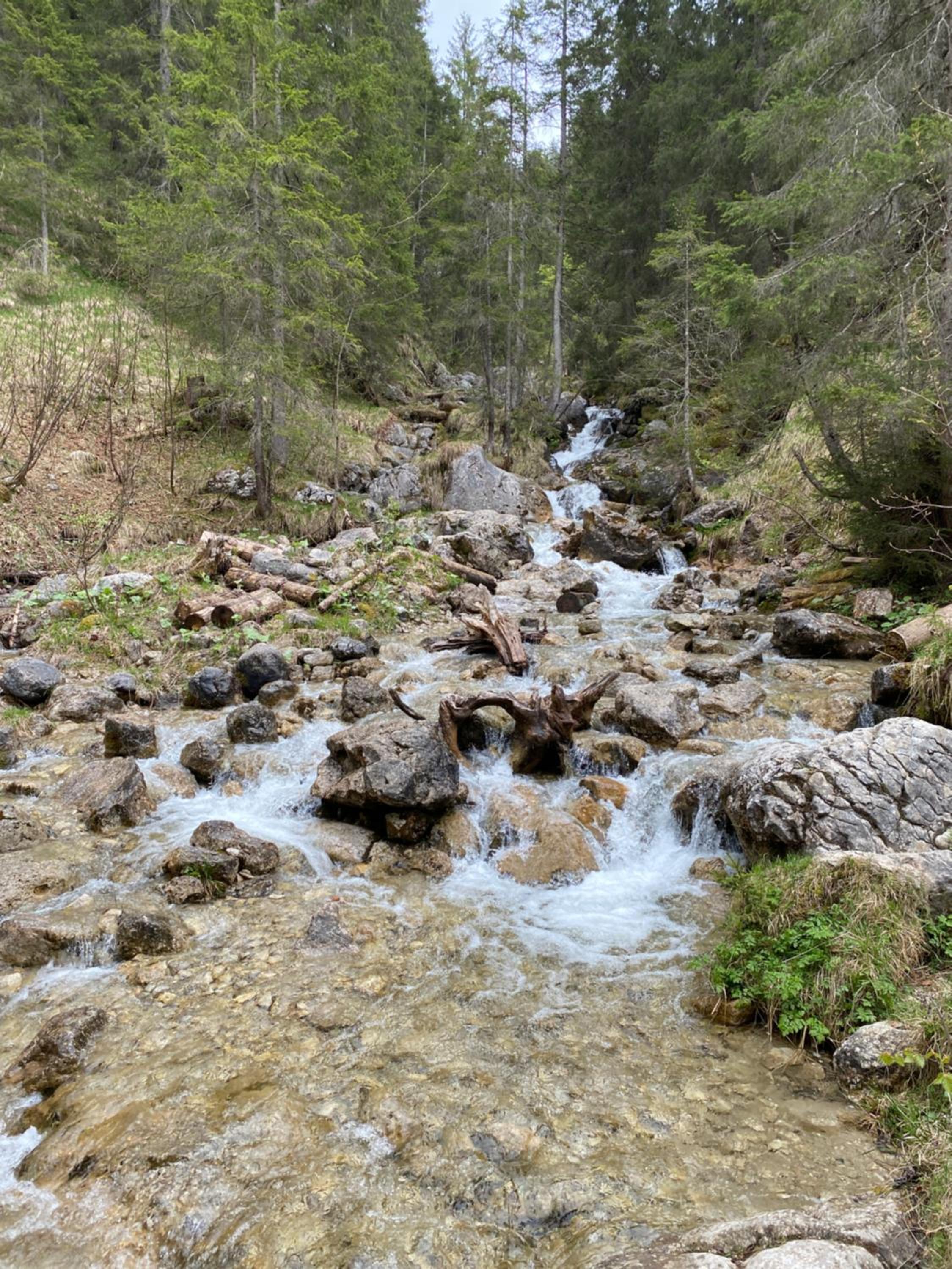 Living Mountain Tannheim