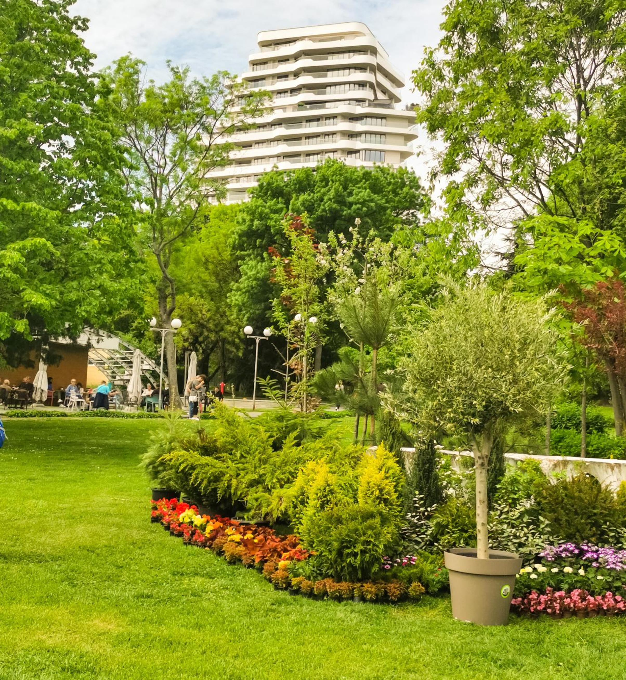 Luxury Apartments Alix