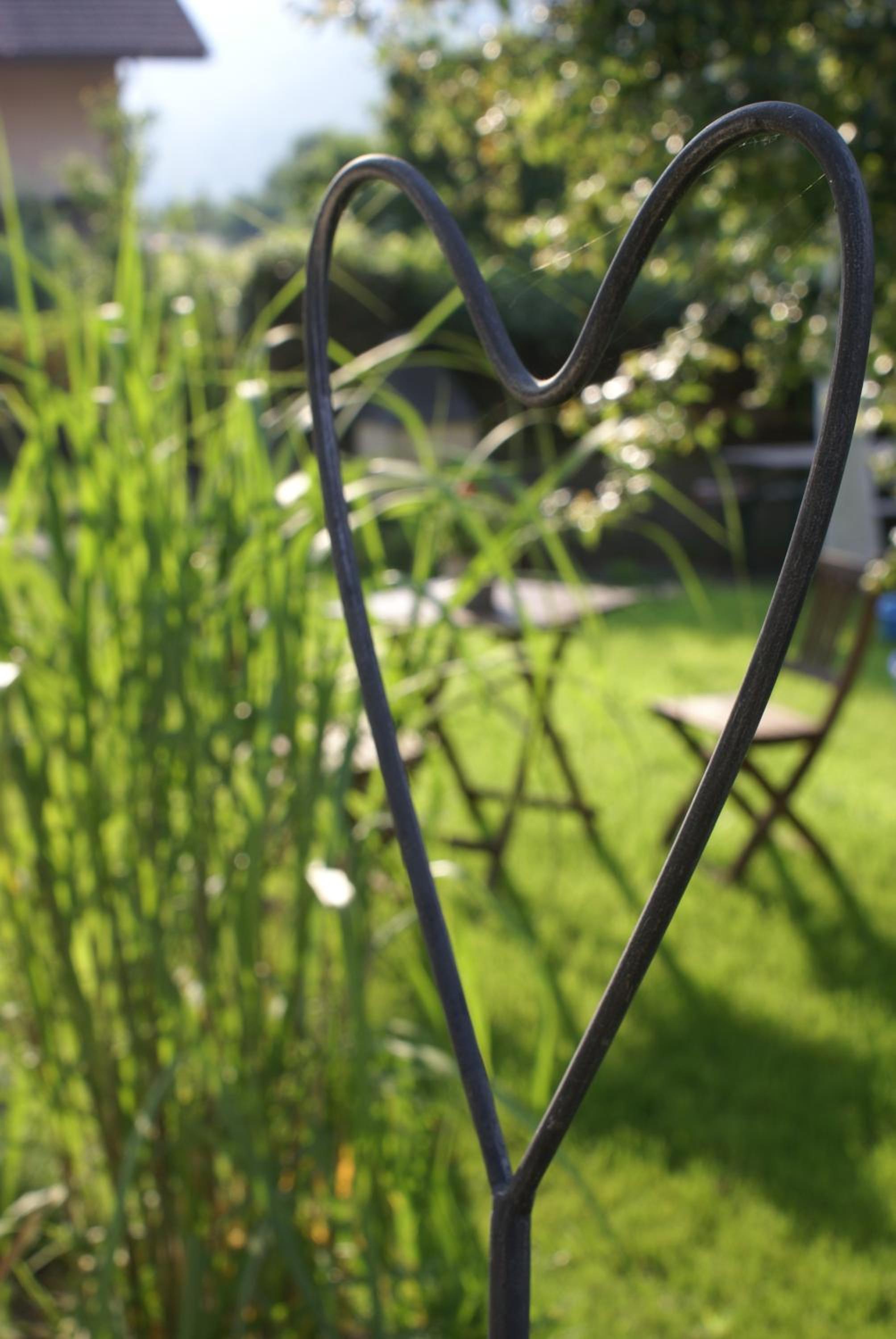 Carpe Diem - Bnb - Chambres d'hôtes