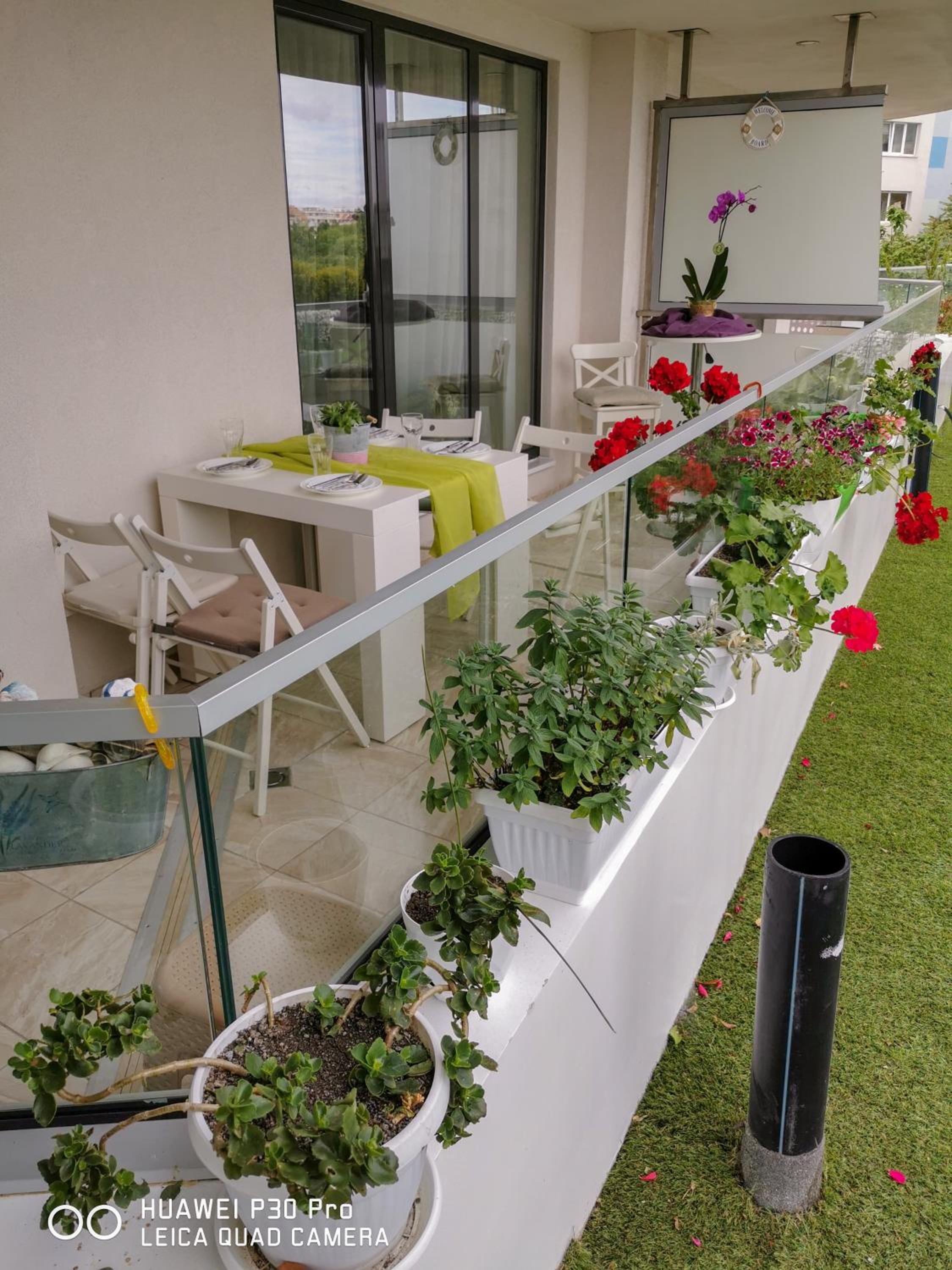 Luxury Apartments Alix