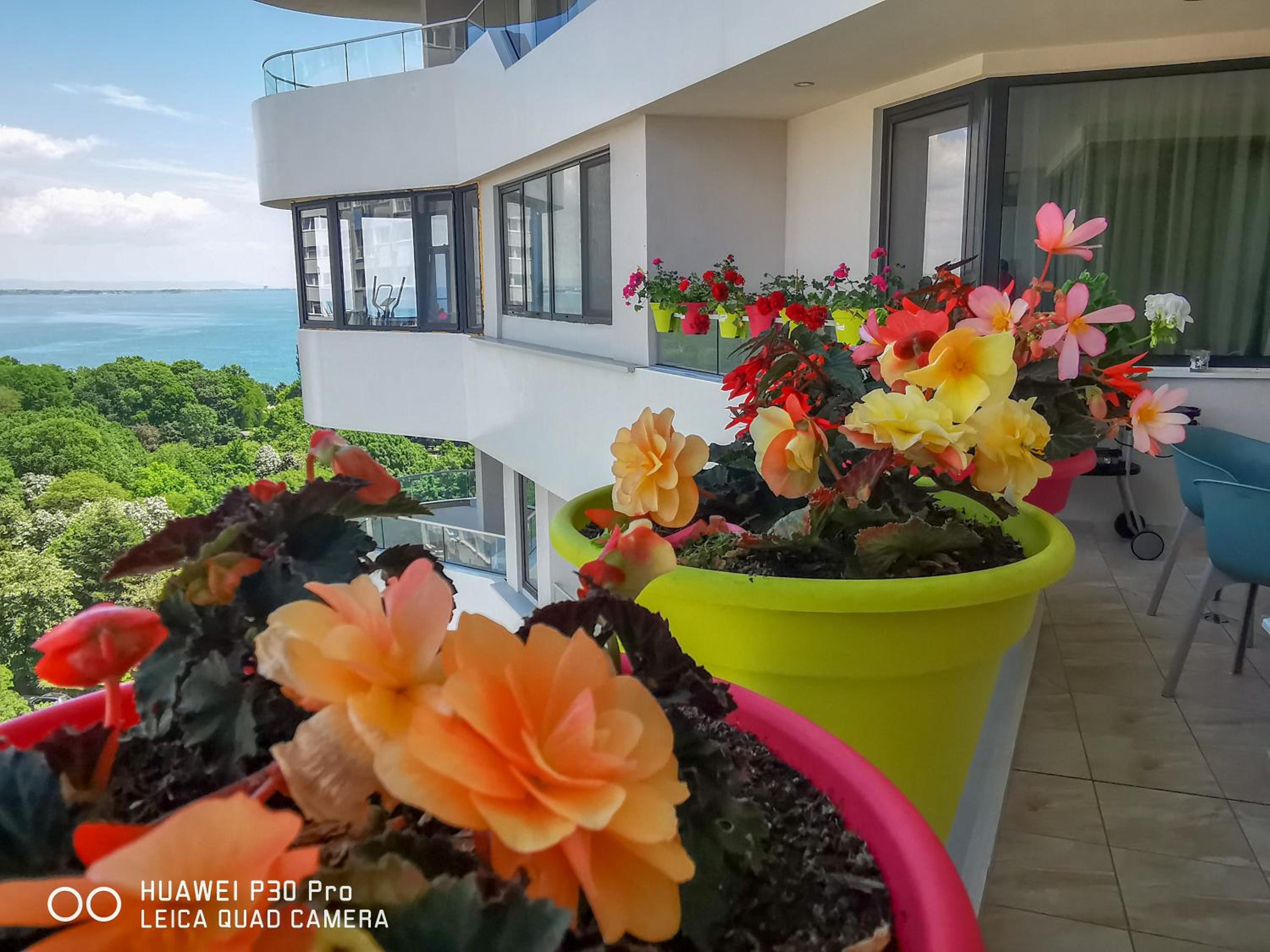Luxury Apartments Alix