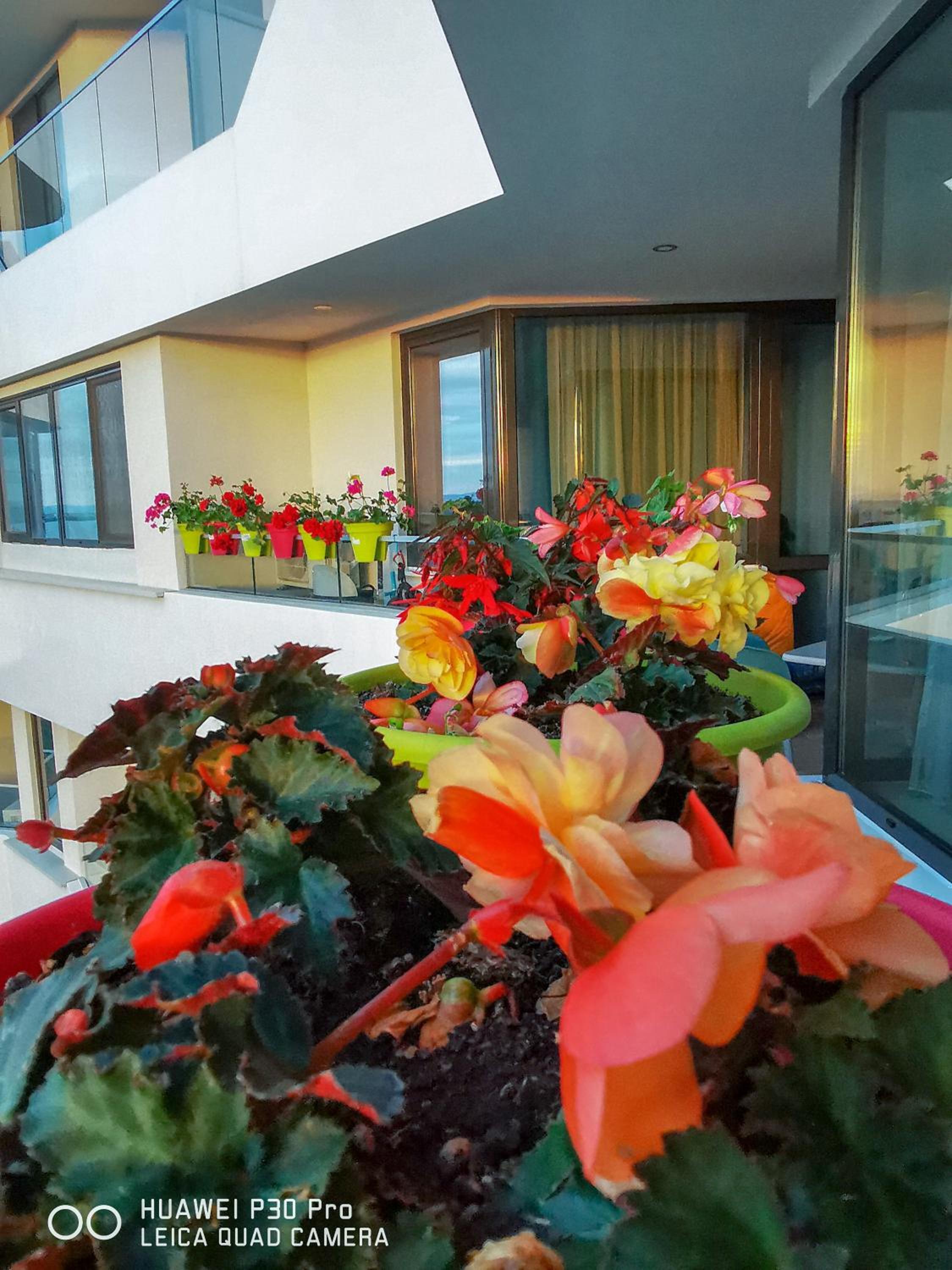Luxury Apartments Alix