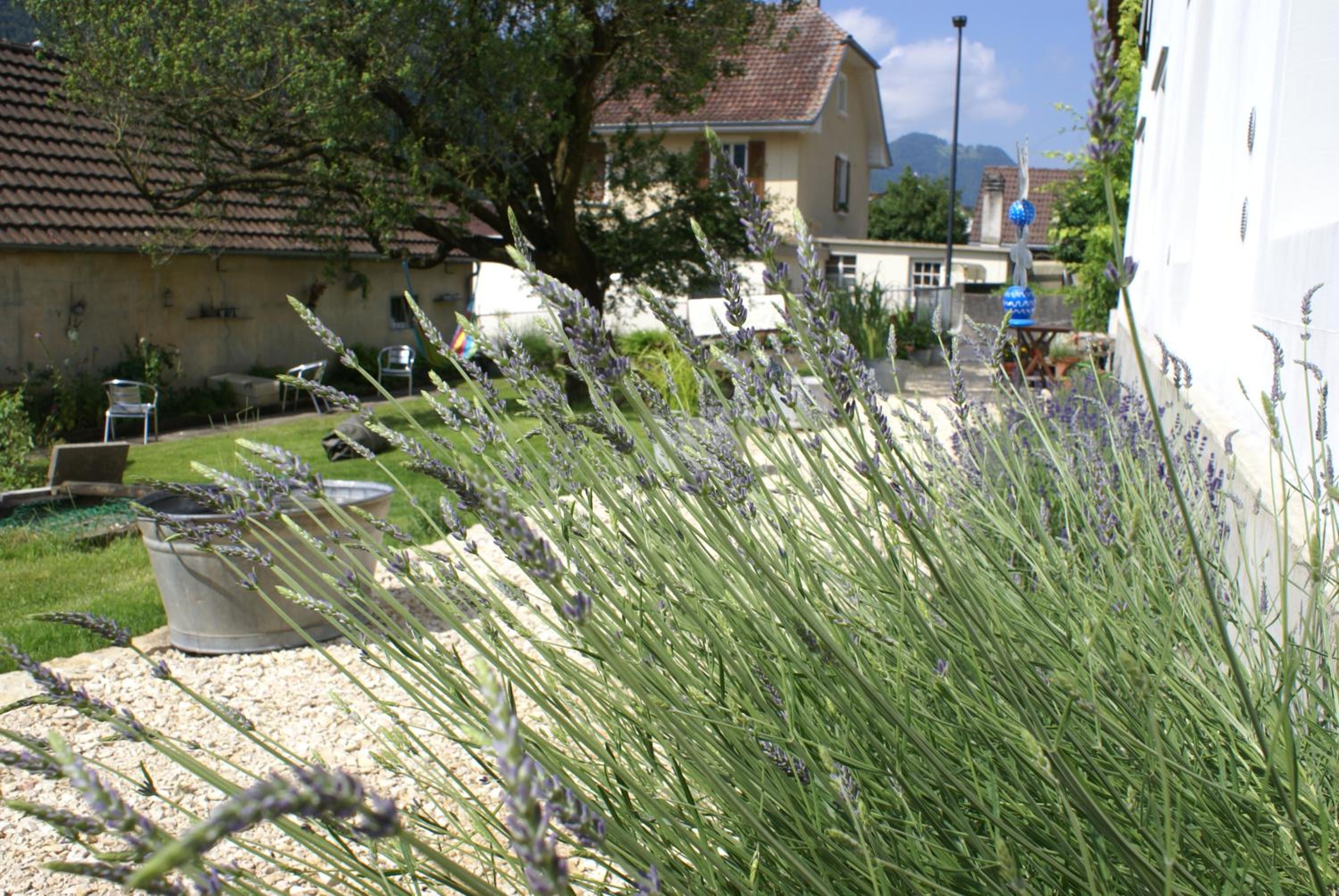 Carpe Diem - Bnb - Chambres d'hôtes