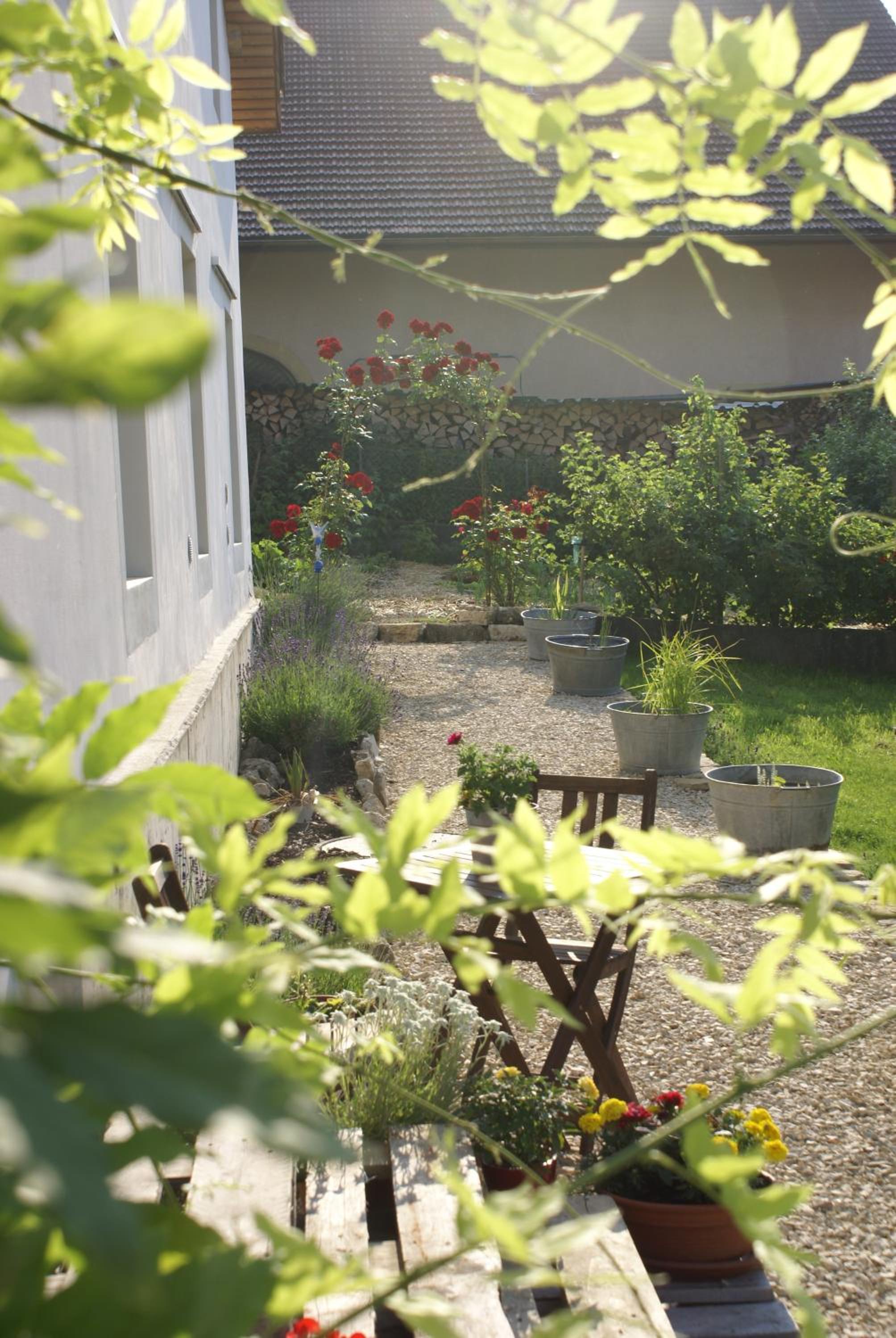 Carpe Diem - Bnb - Chambres d'hôtes