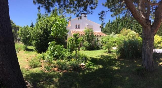 DOMAINE LES VINYES view 5