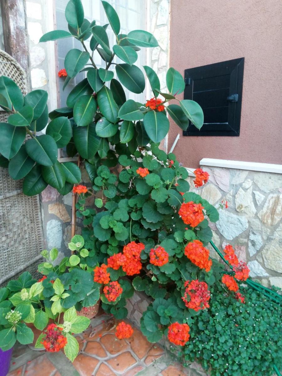 Photo 34