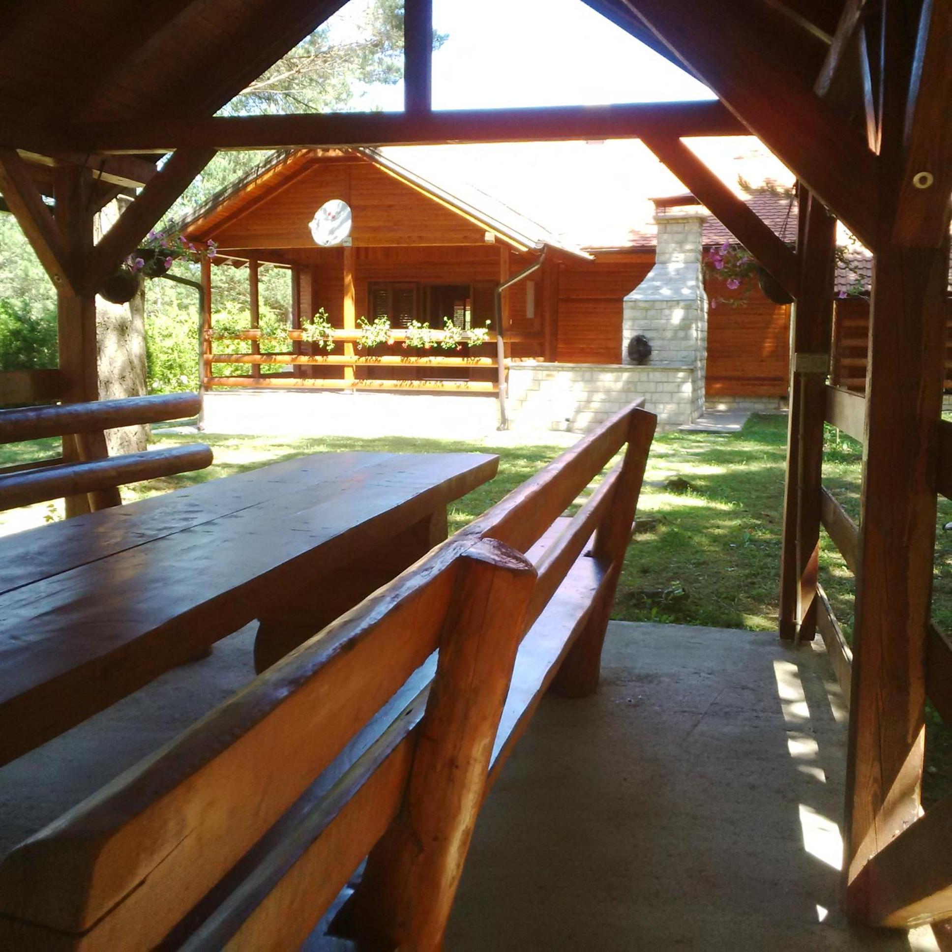 Photo 7