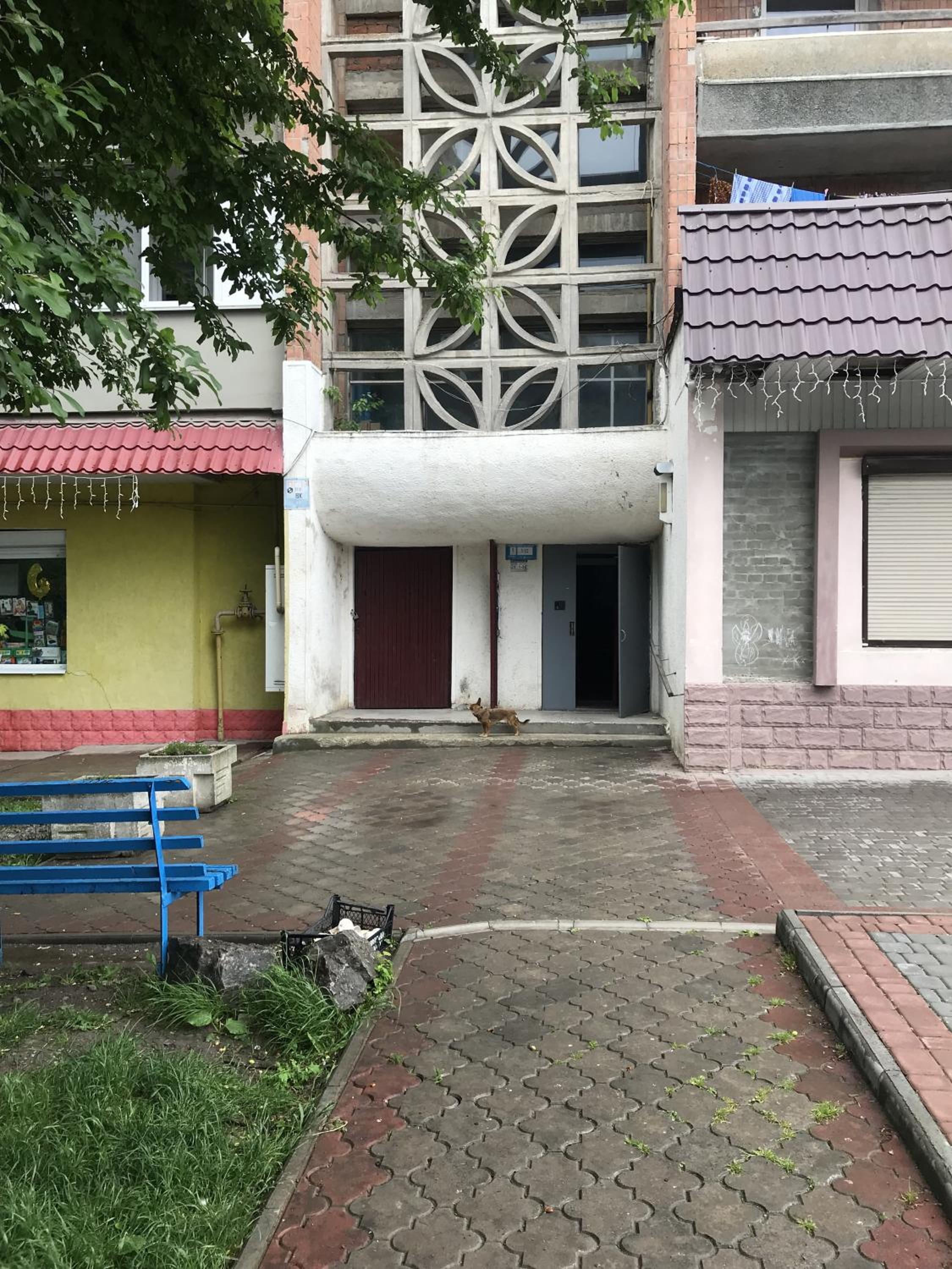 Photo 23