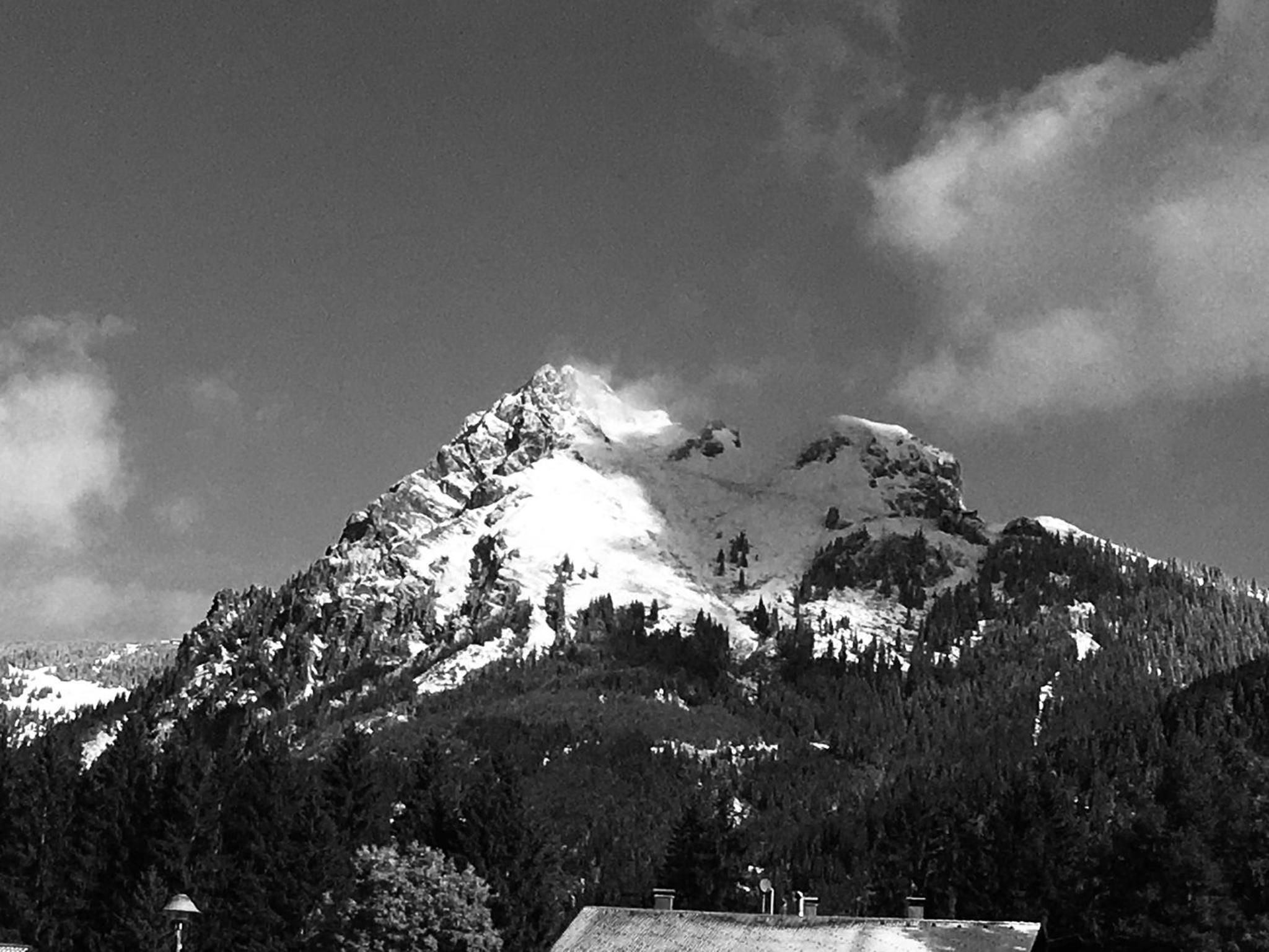 Living Mountain Tannheim