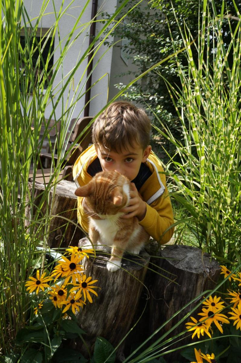 Photo 24