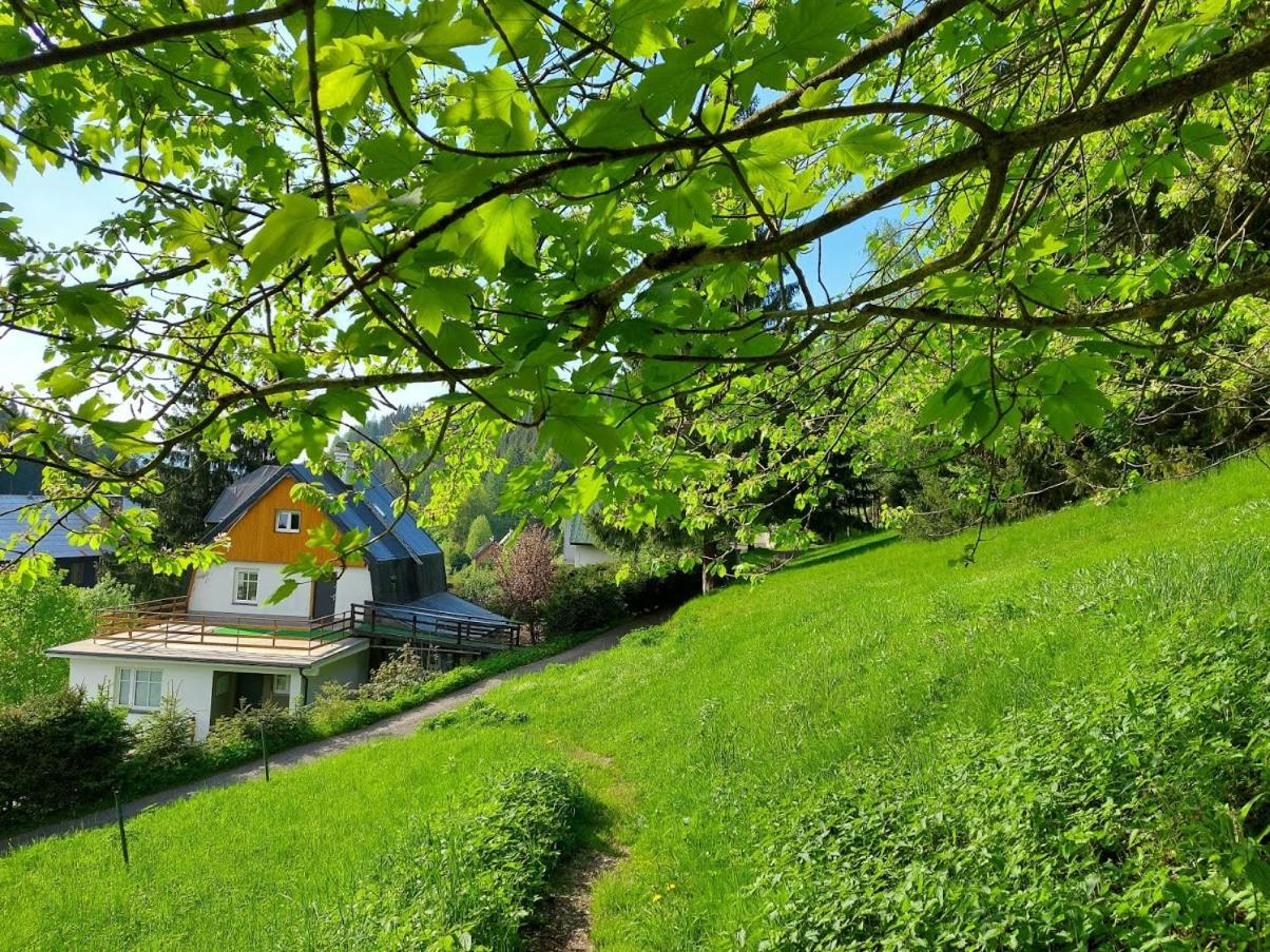 Pension Apartmány Harrachov 288 view 3