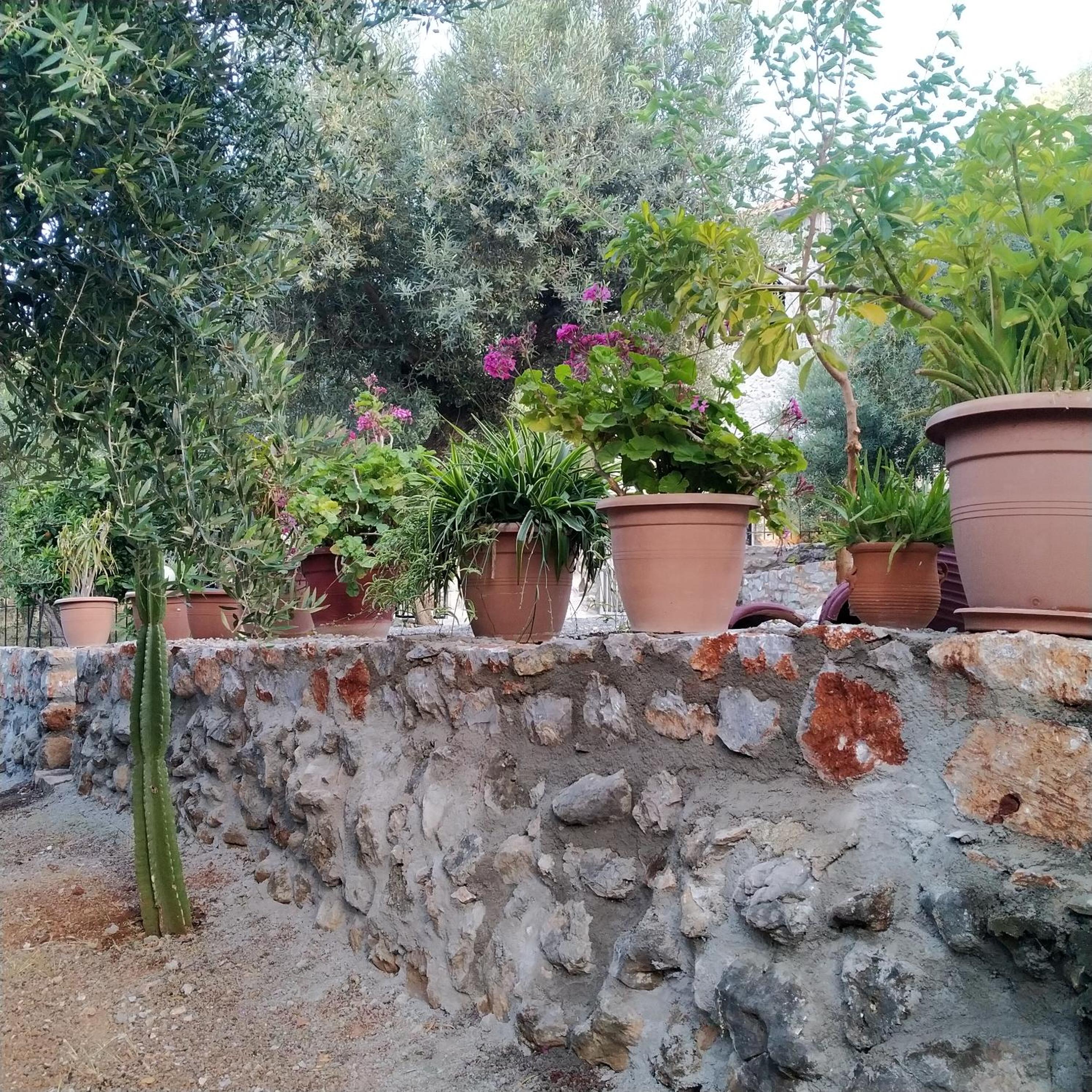 Photo 27