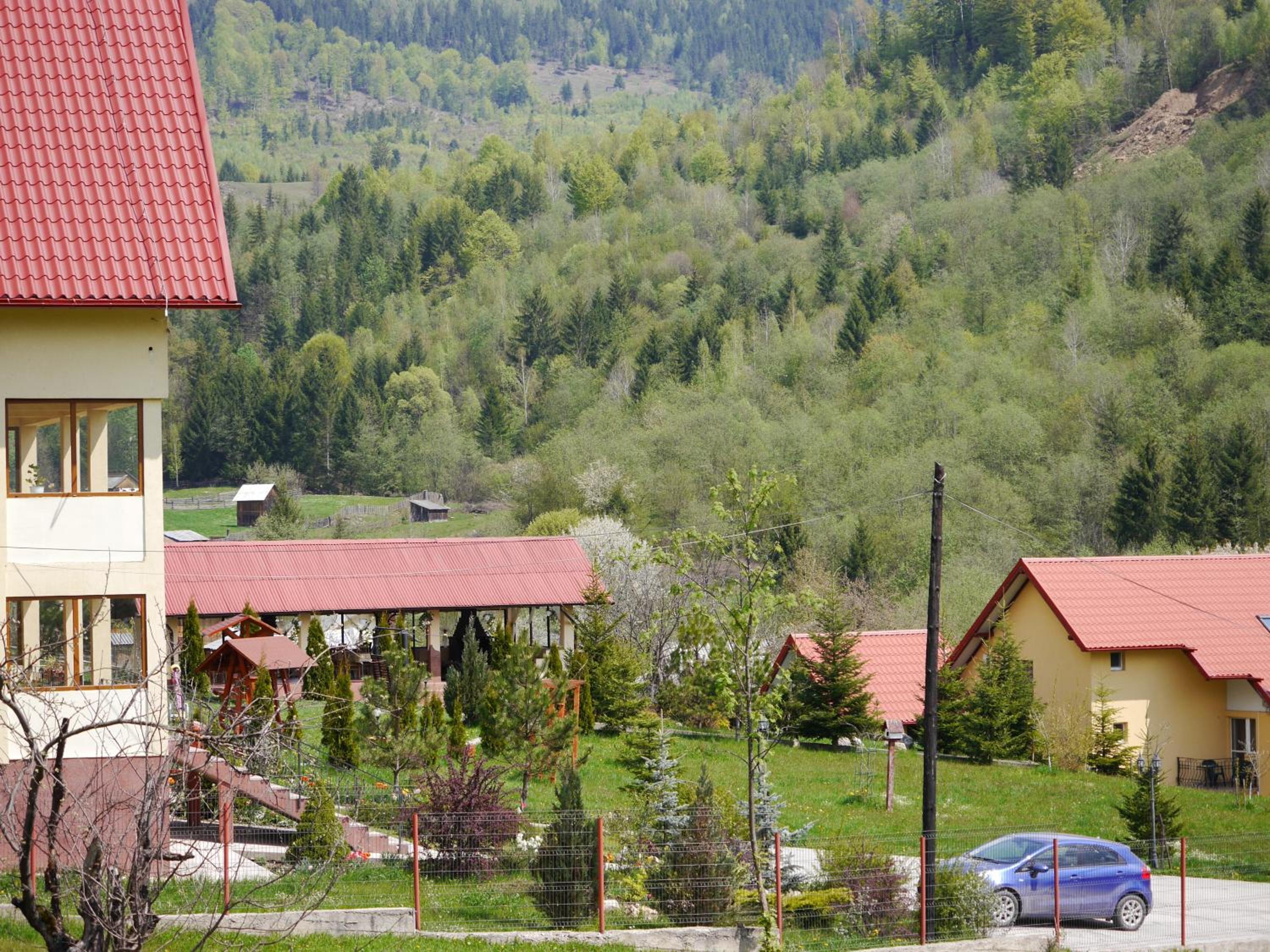 Photo 43