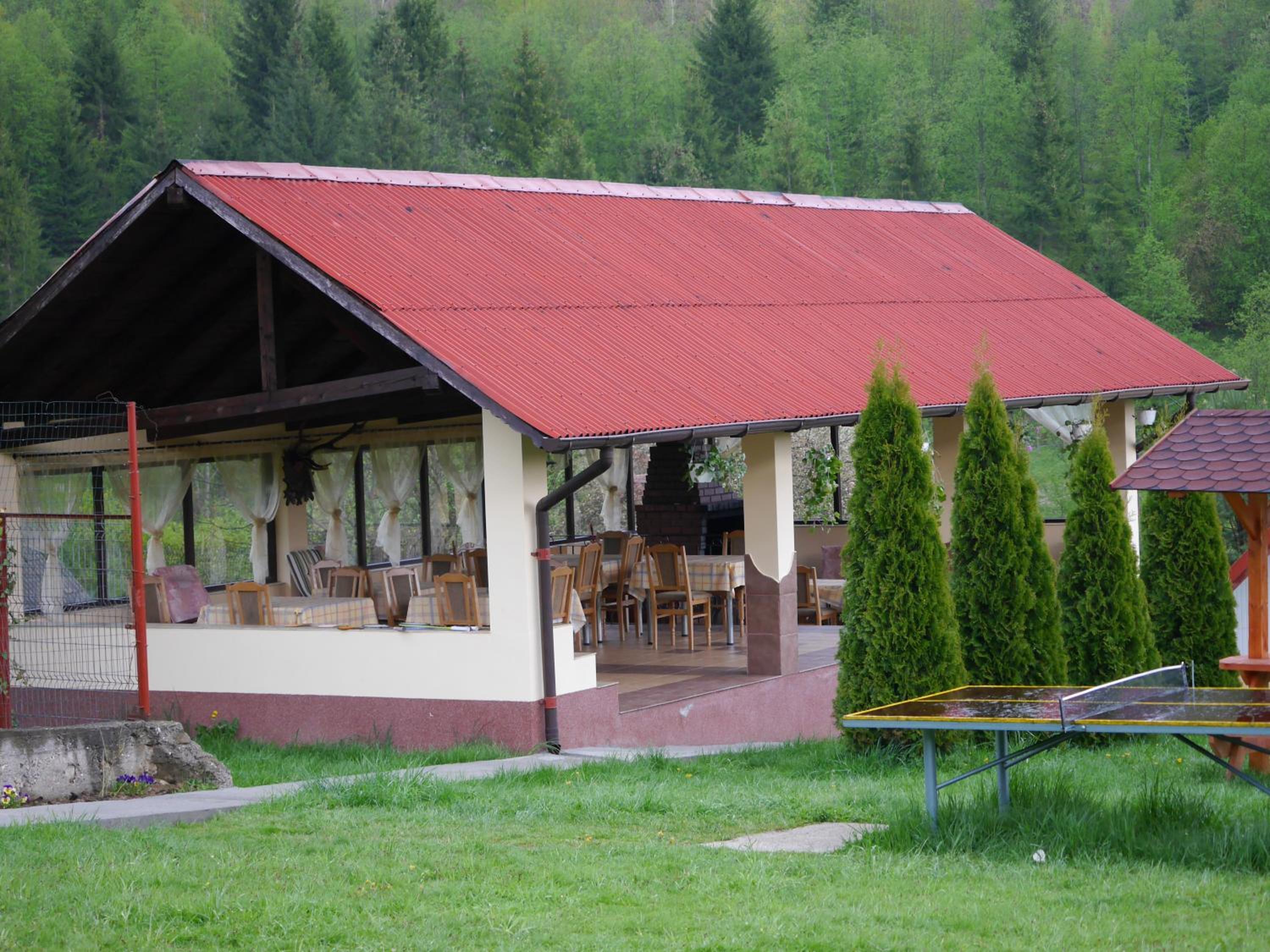 Photo 46