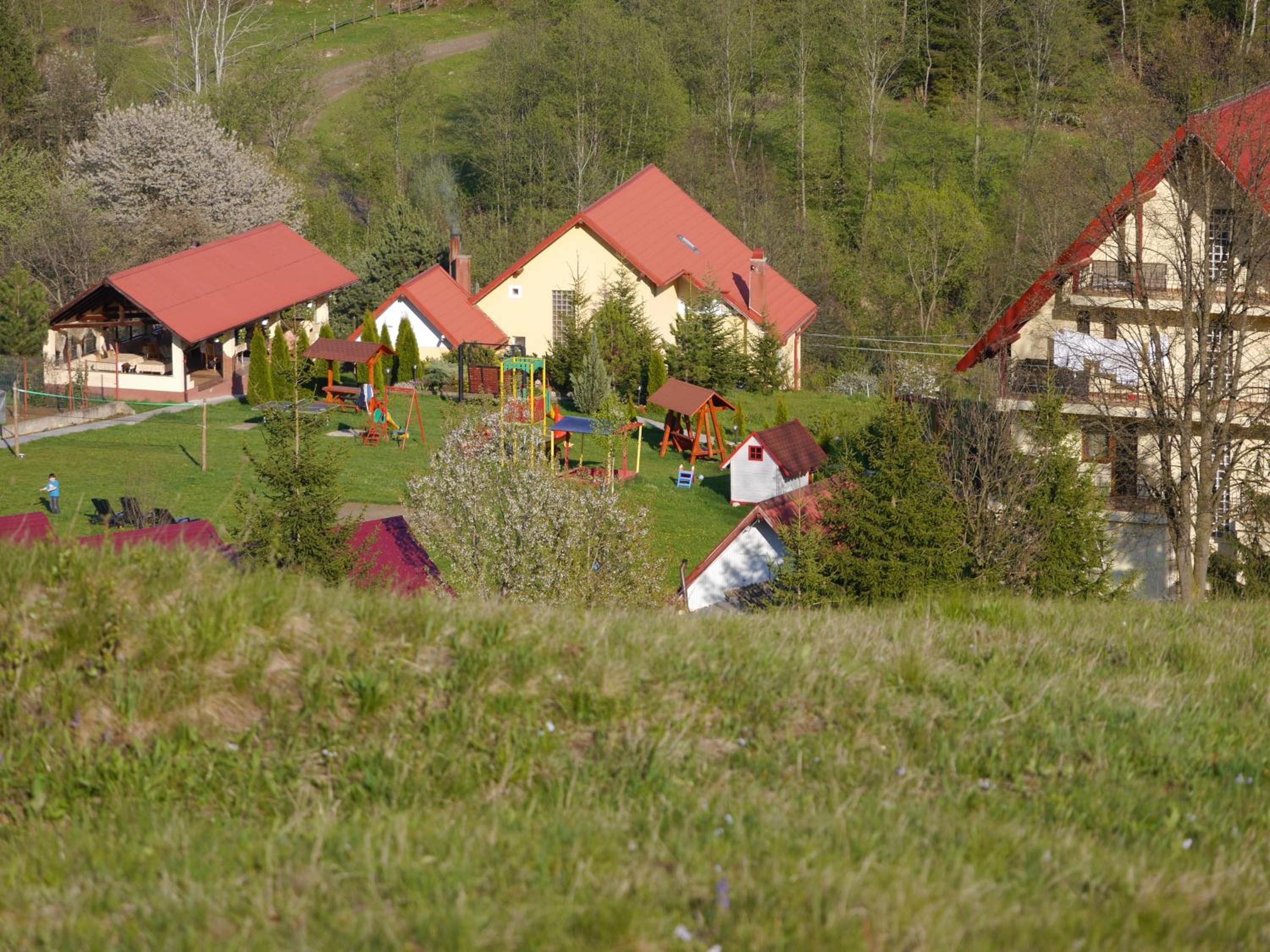 Photo 50