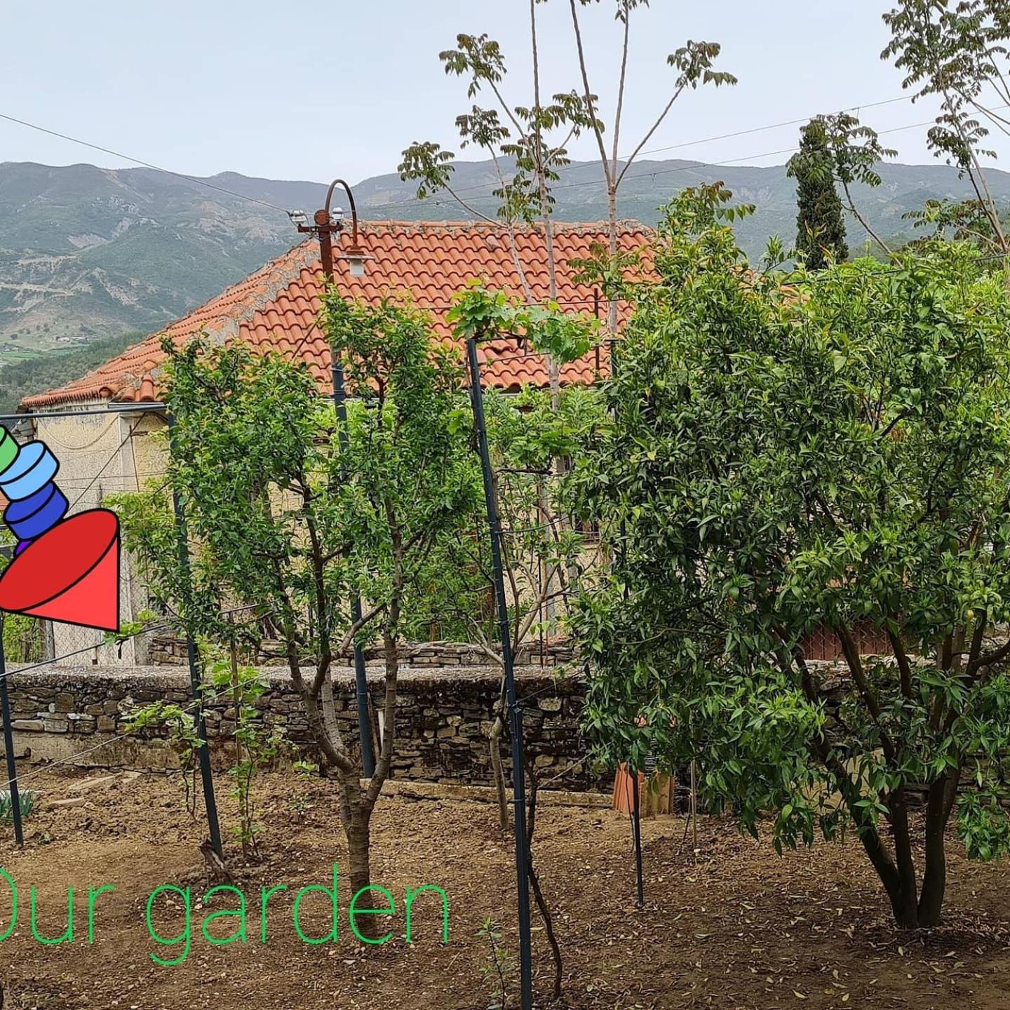 Garden Guest House, photo 53