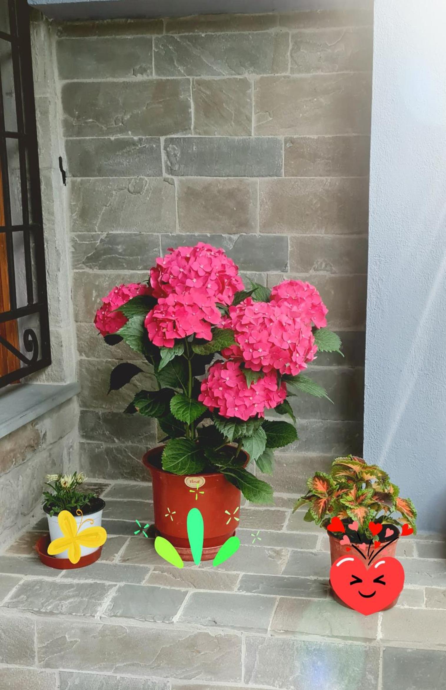Garden Guest House