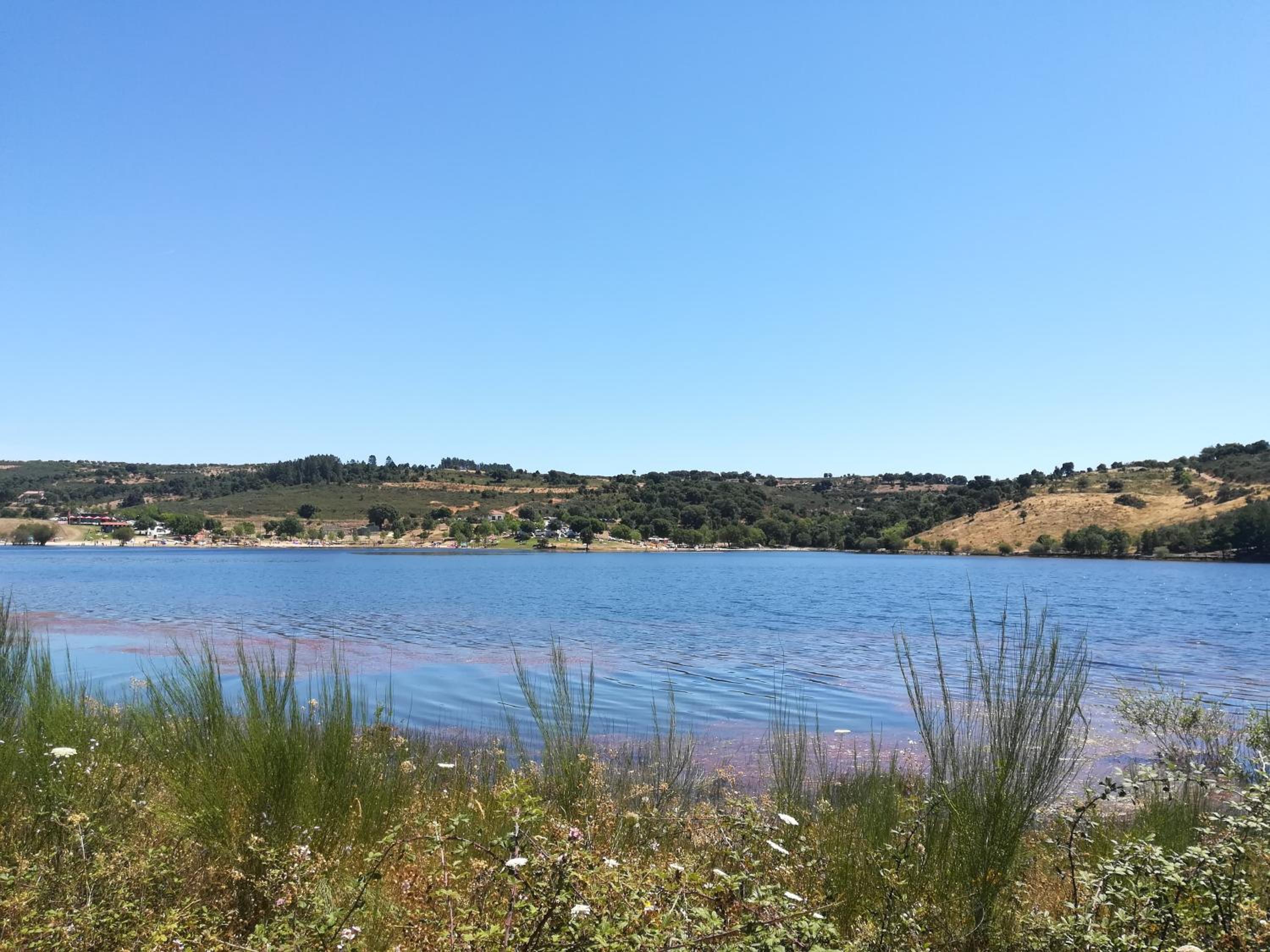 Photo 41