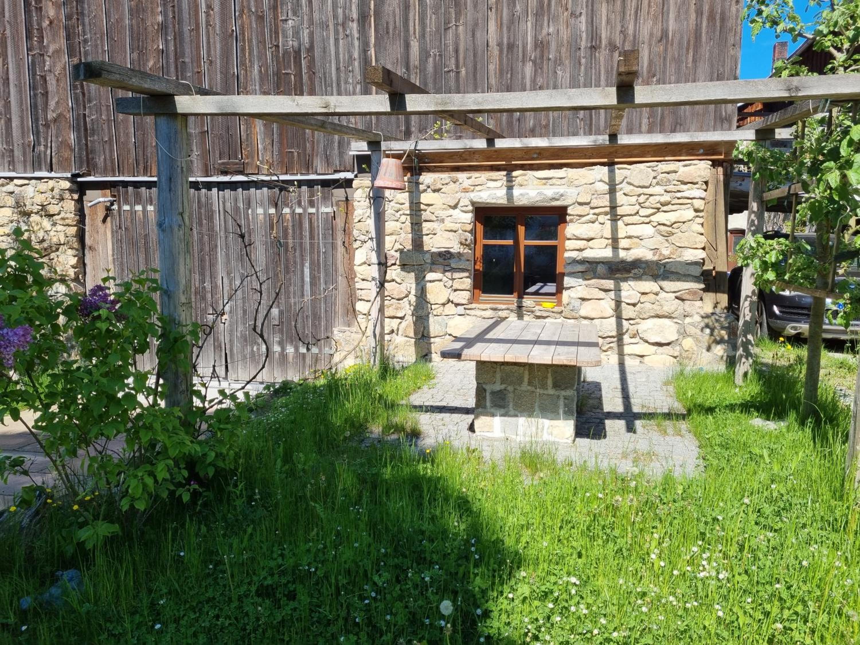 Photo 11