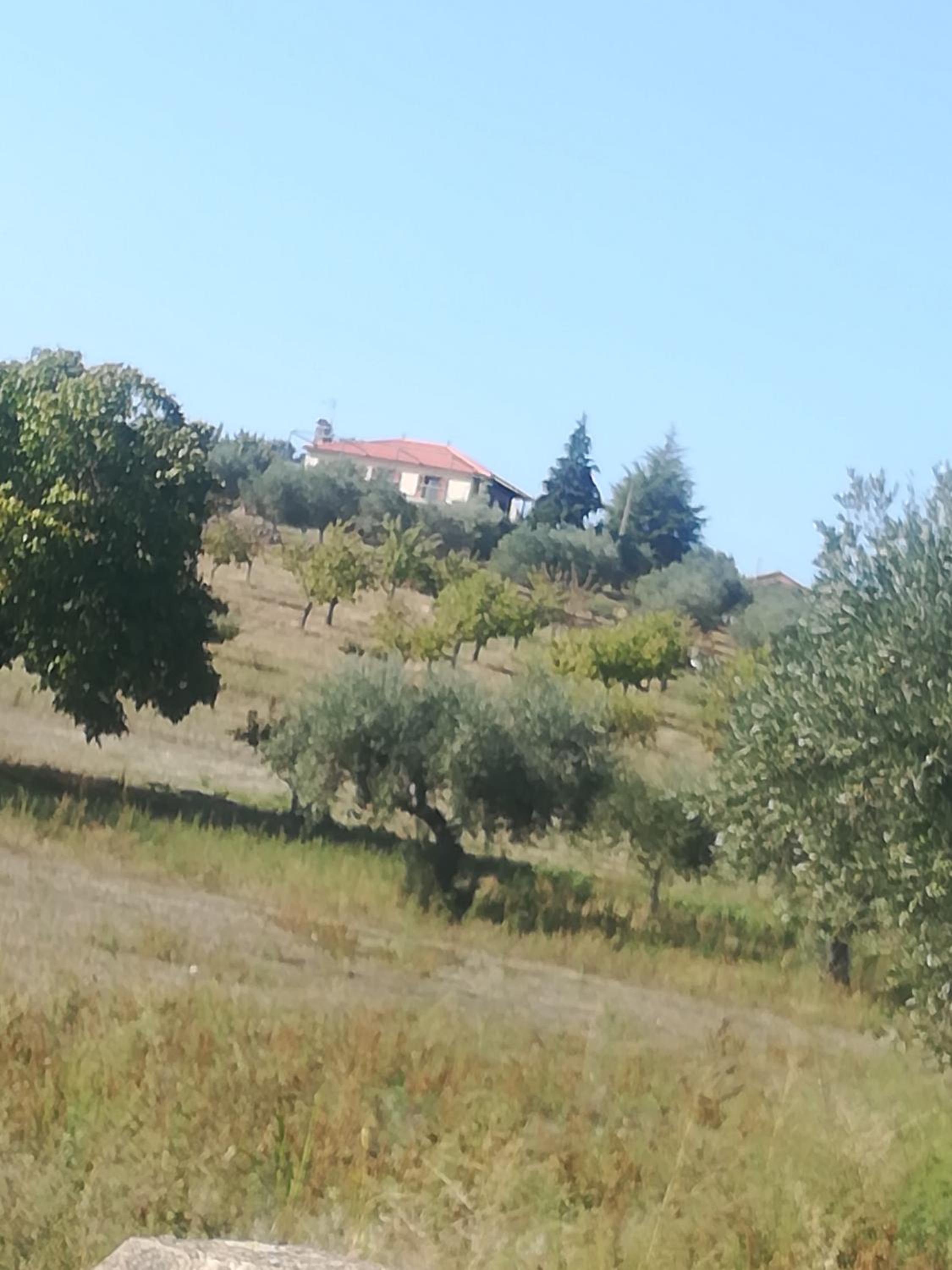 Photo 47