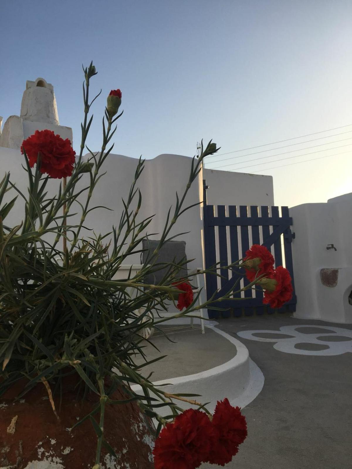 Photo 29