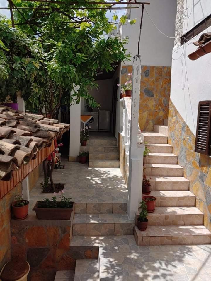 Tomor Shehu Guest House