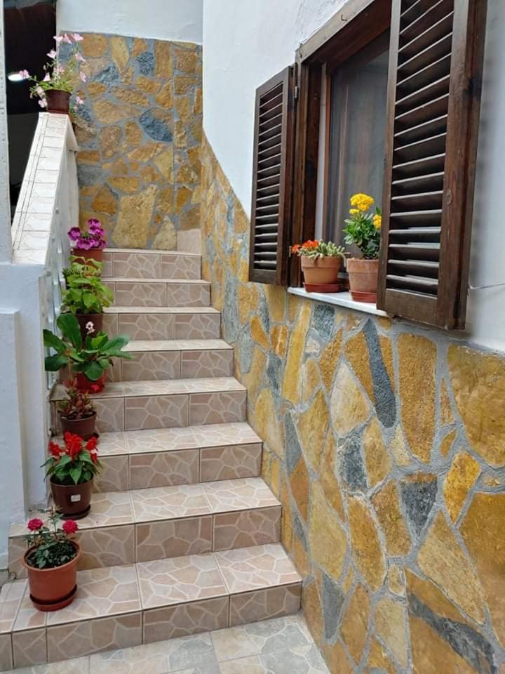 Tomor Shehu Guest House