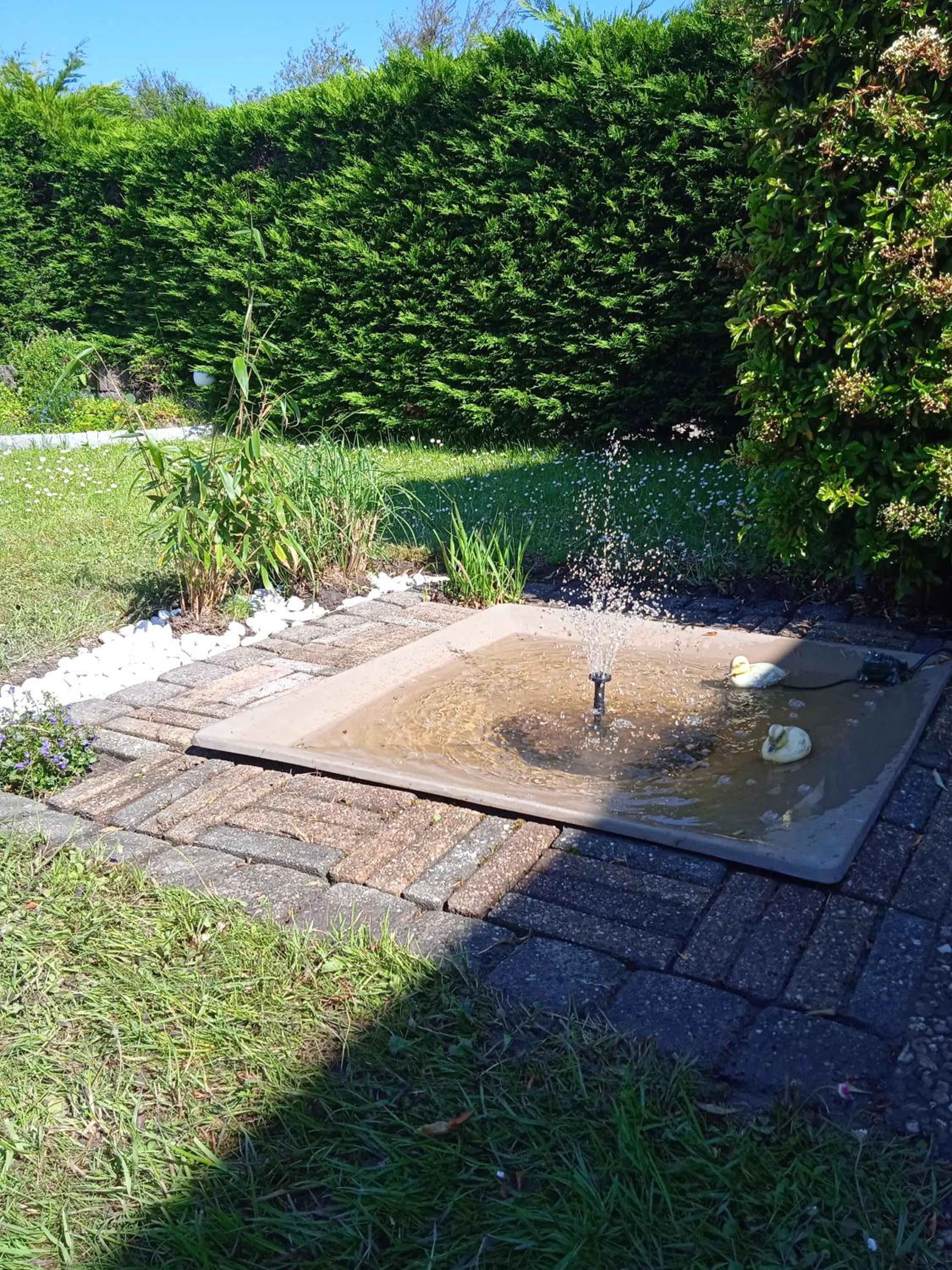 Photo 15