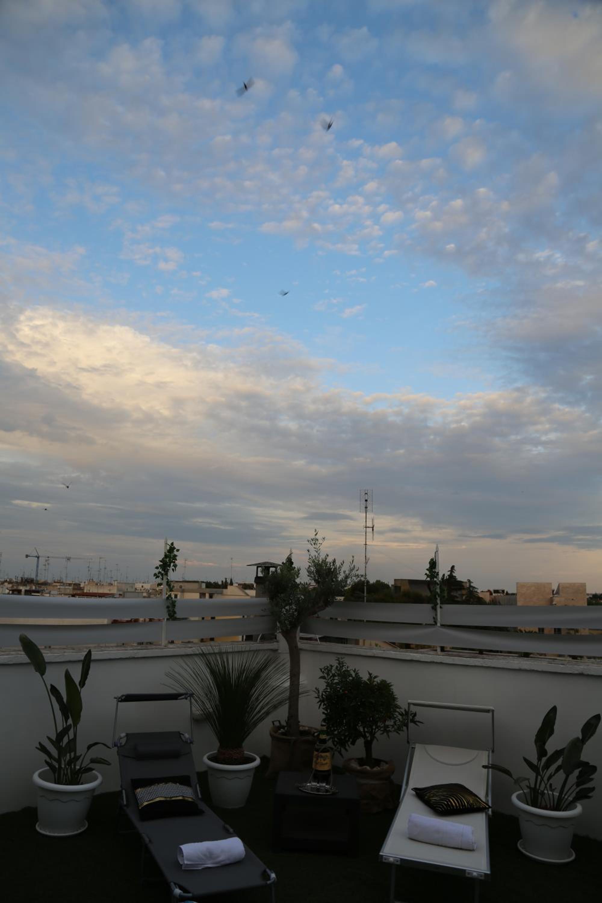 roof