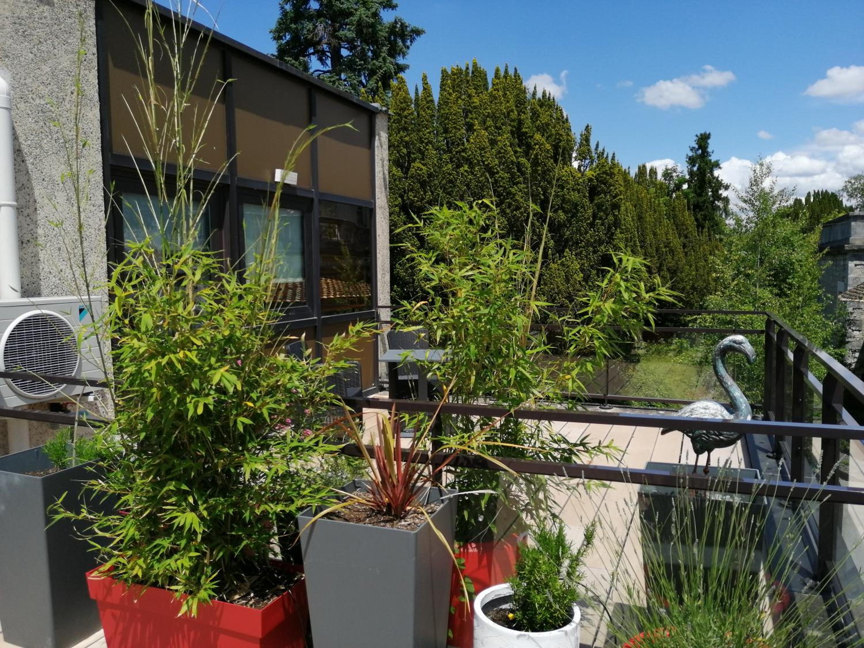 outdoor BBQ area