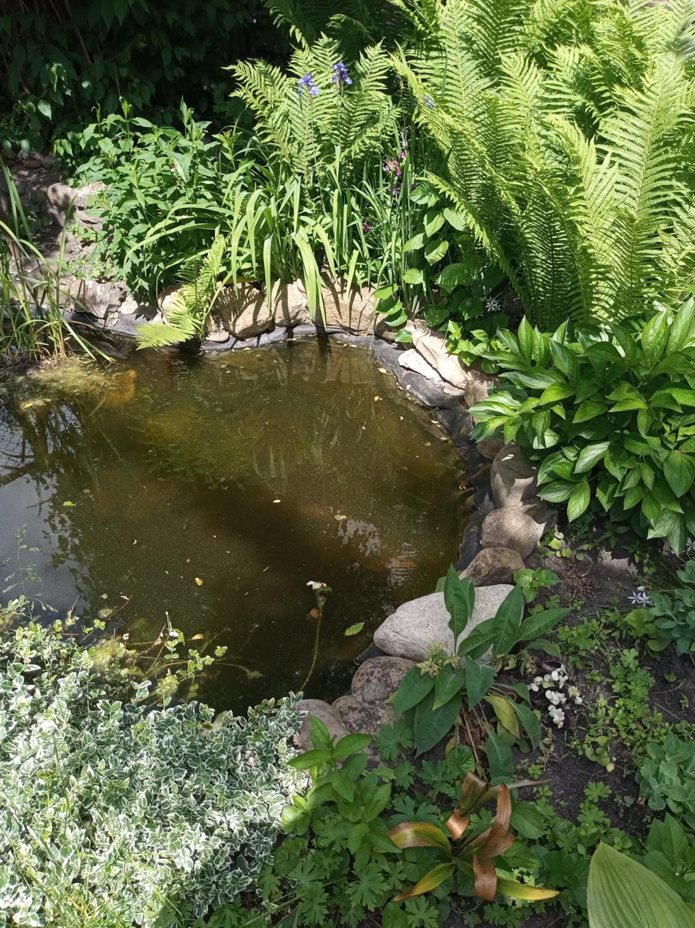 Photo 15