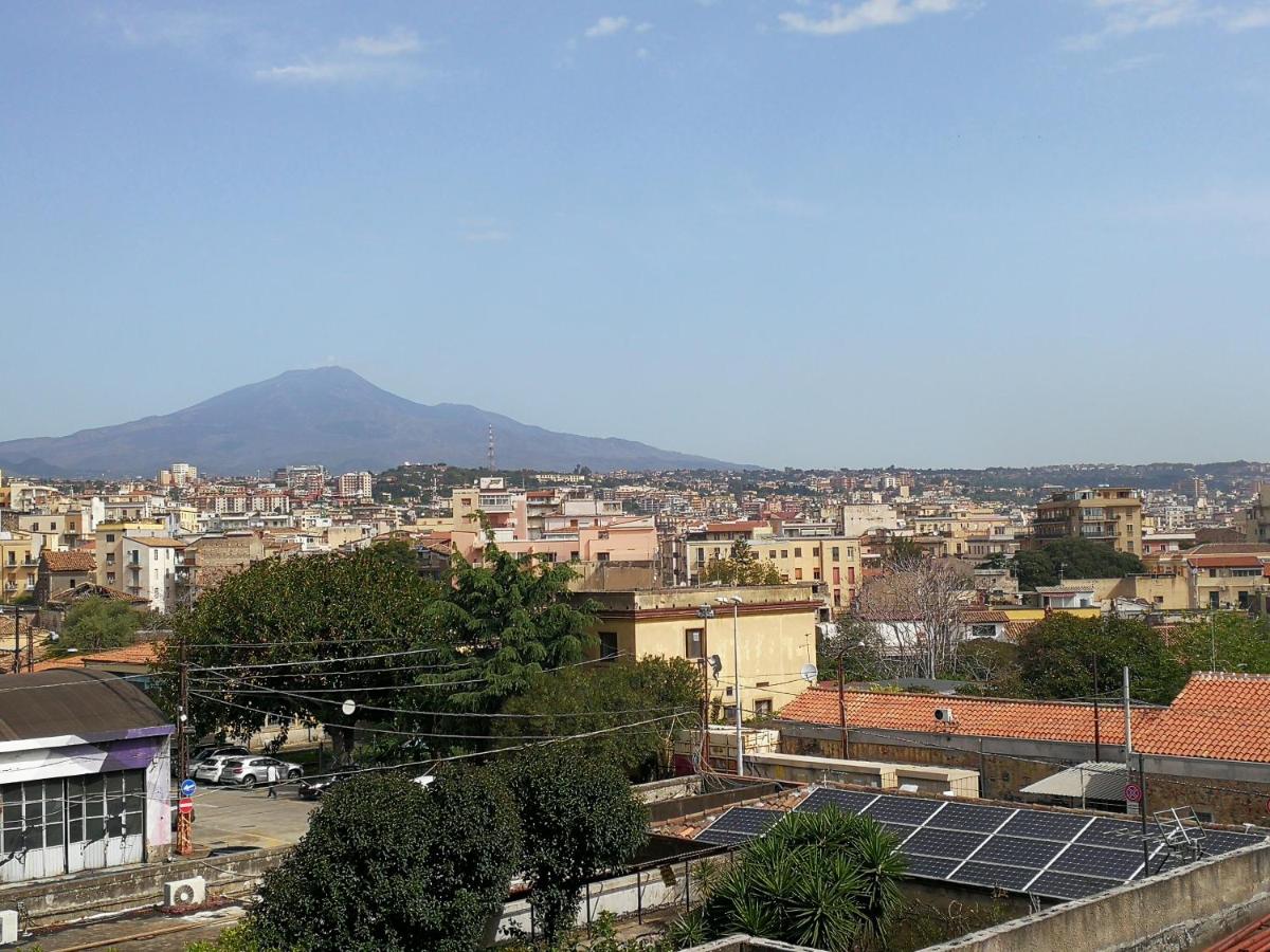 CASA 739 view 3