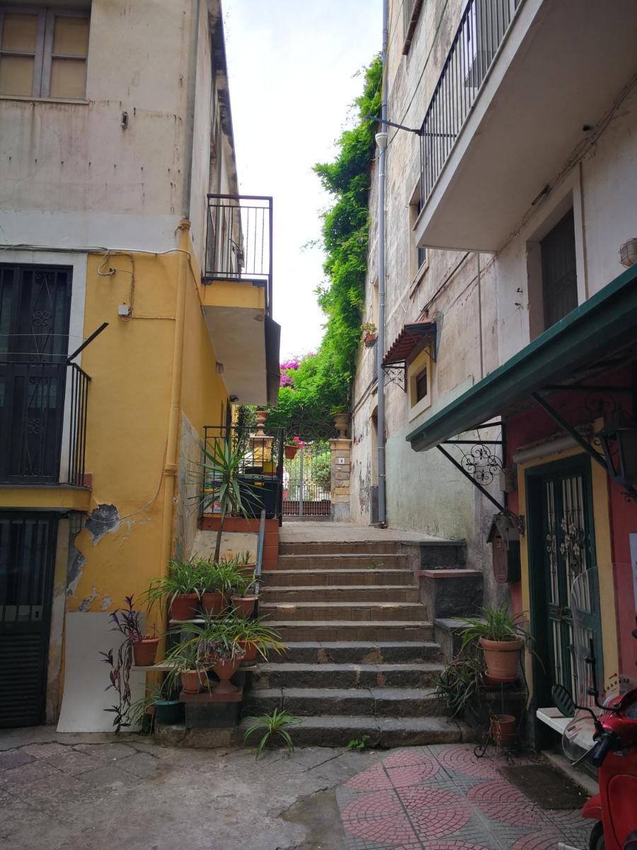 CASA 739 view 5