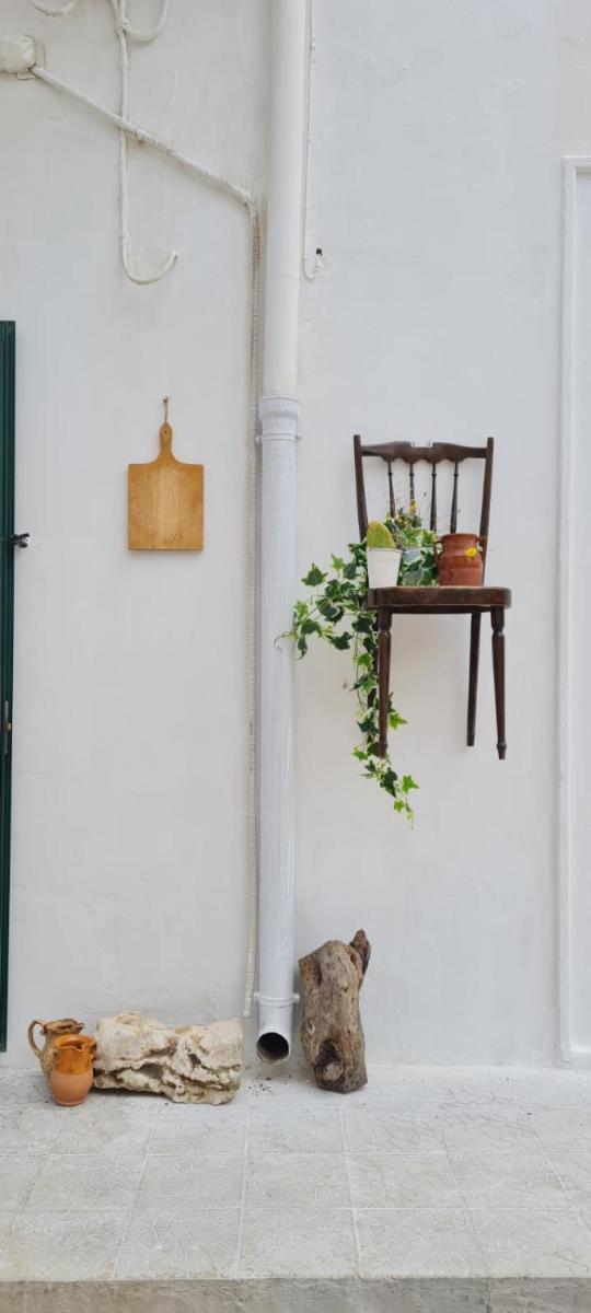 GUEST HOUSE TERRA MIA photo 3